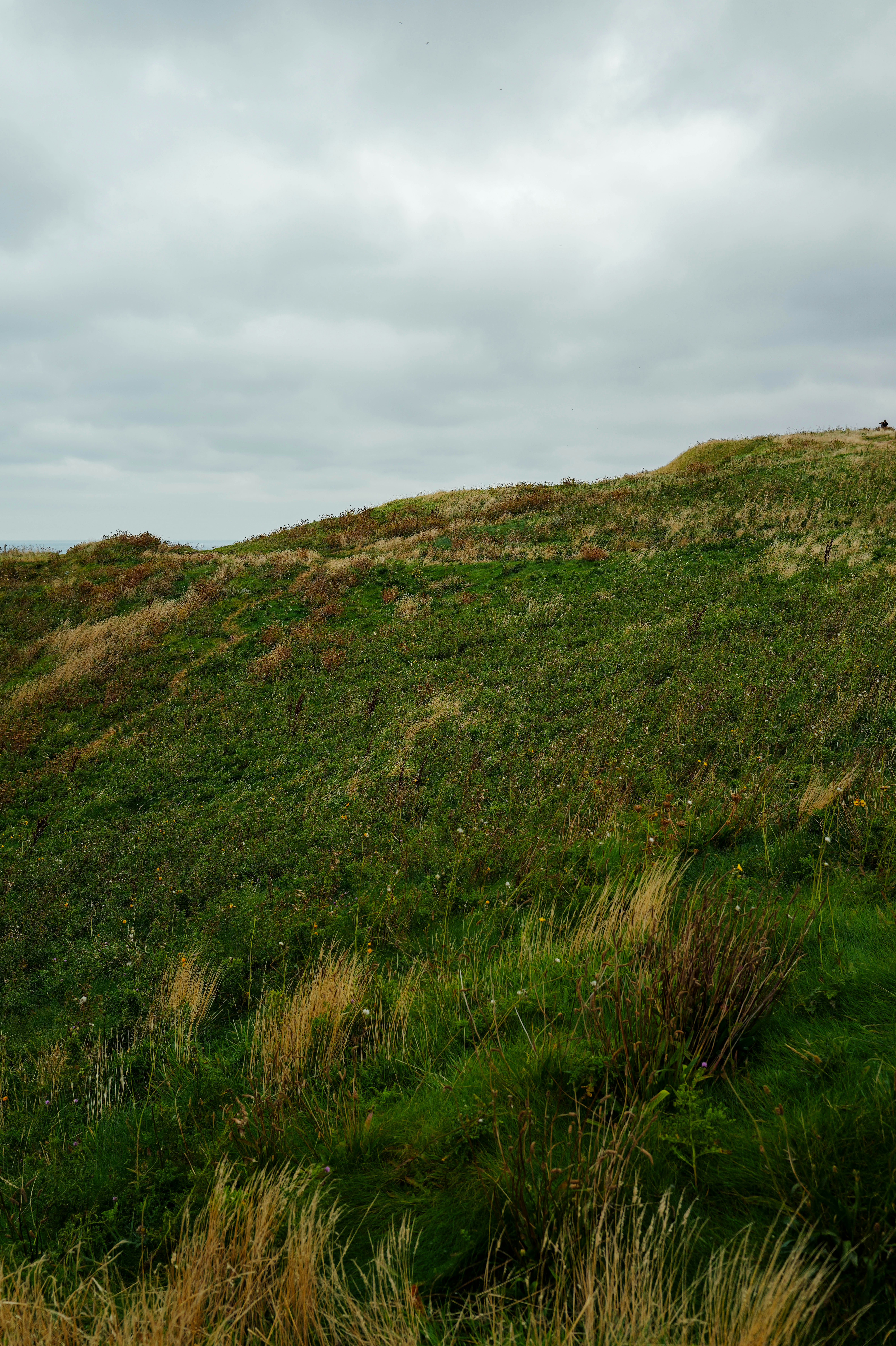 Photo by adrienolichon