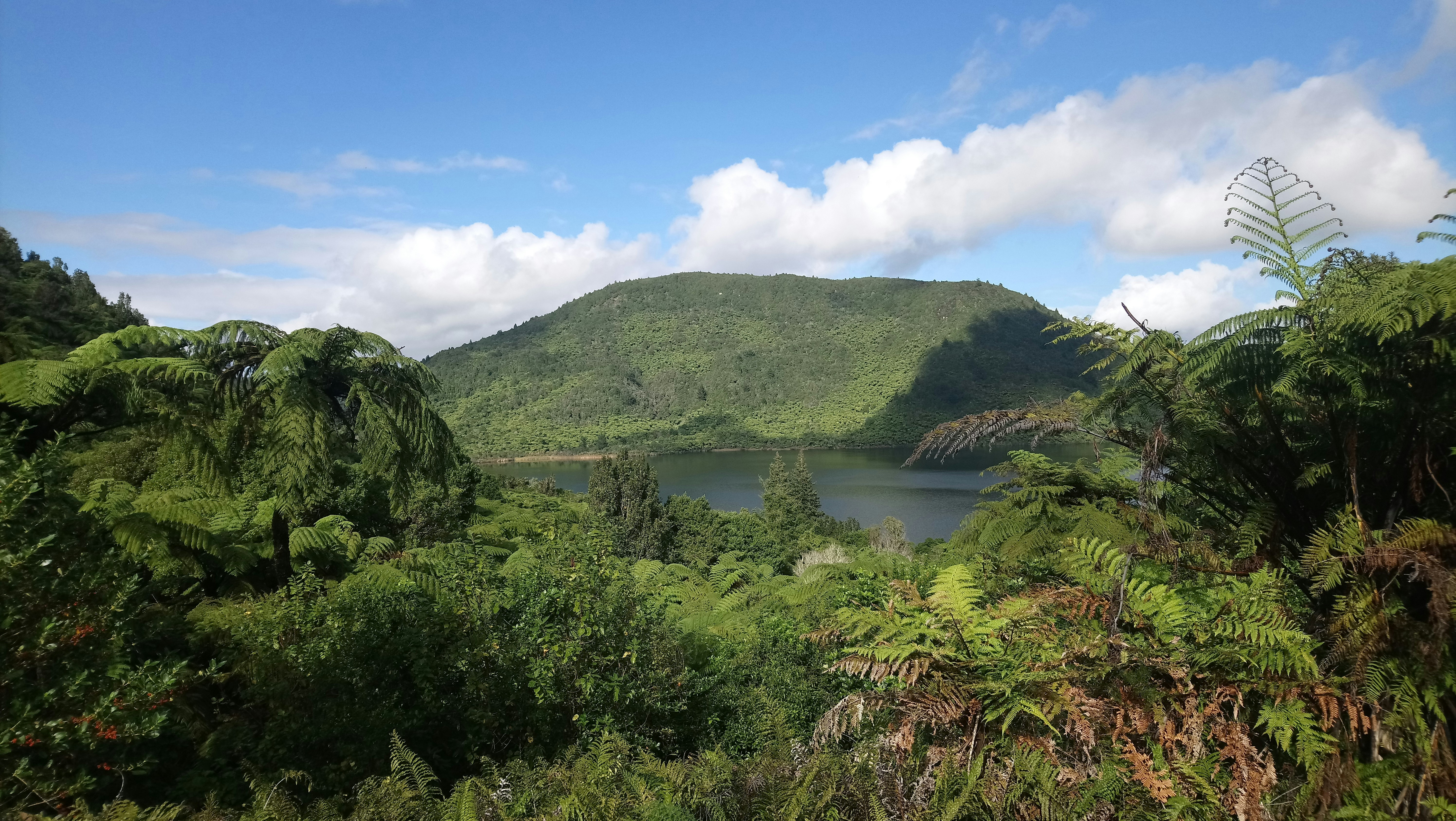 Rotorua – Geography & Spatial Structure