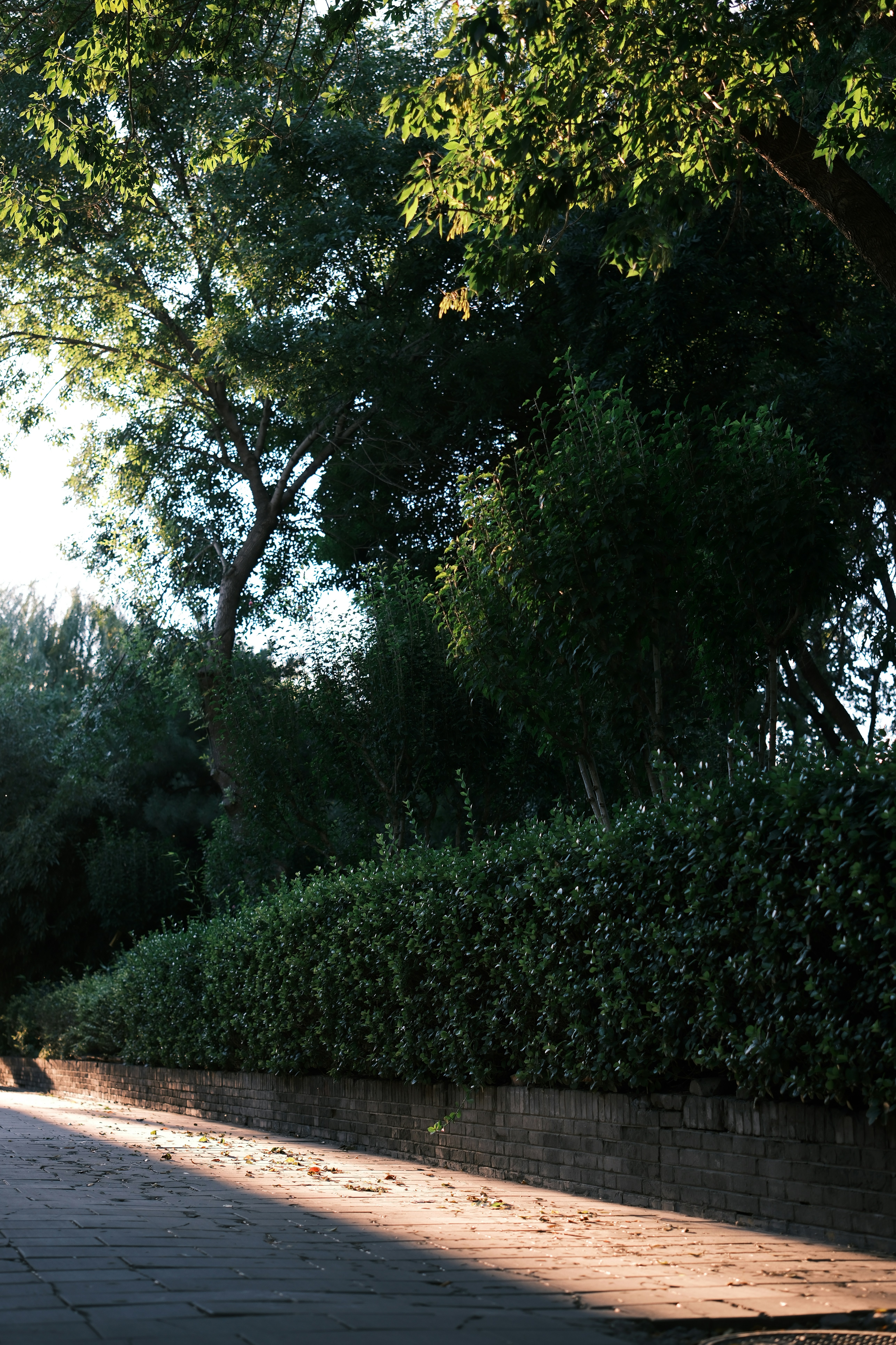 Photo by laughing_zhu