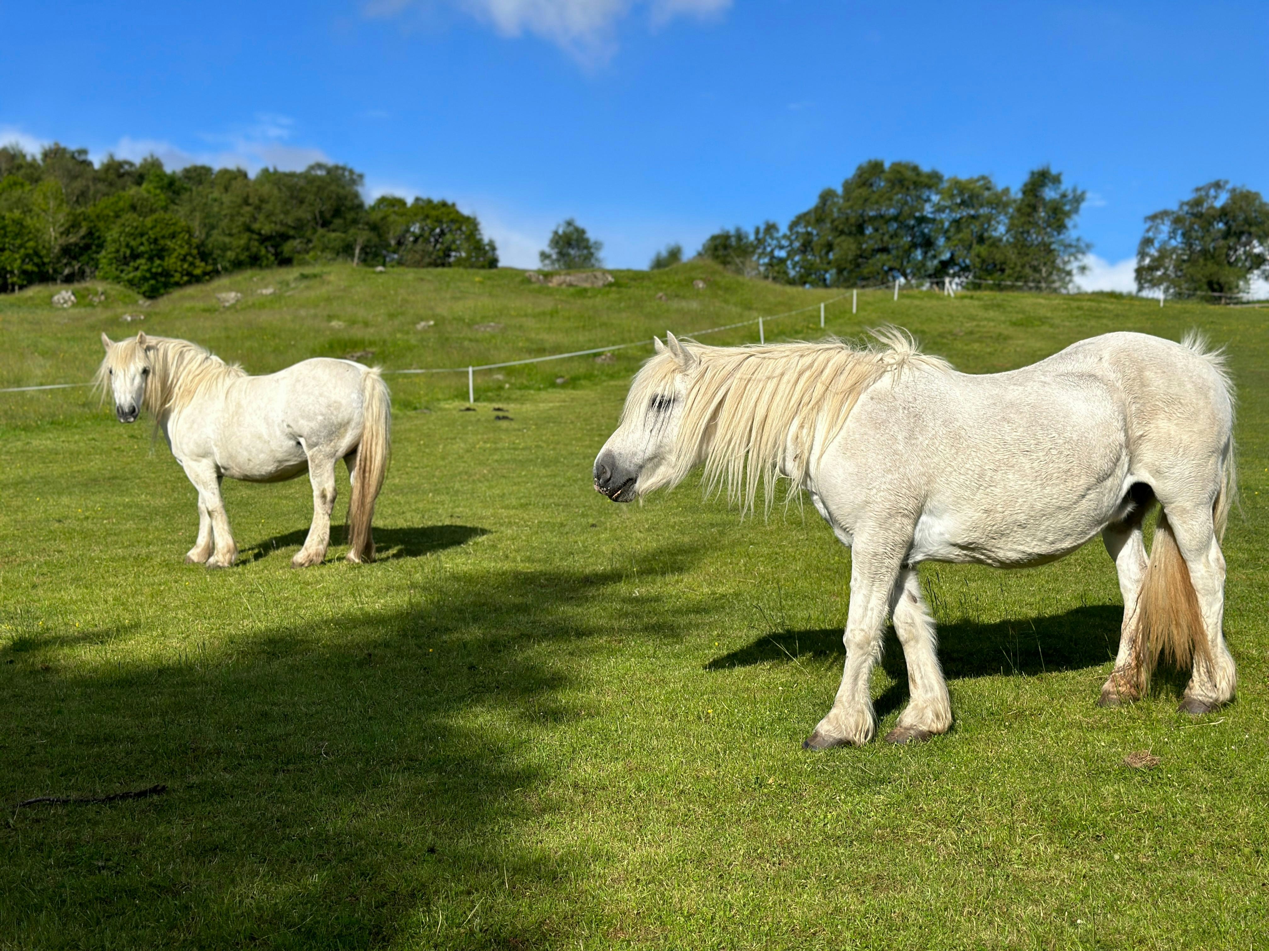 Photo by varunsplash