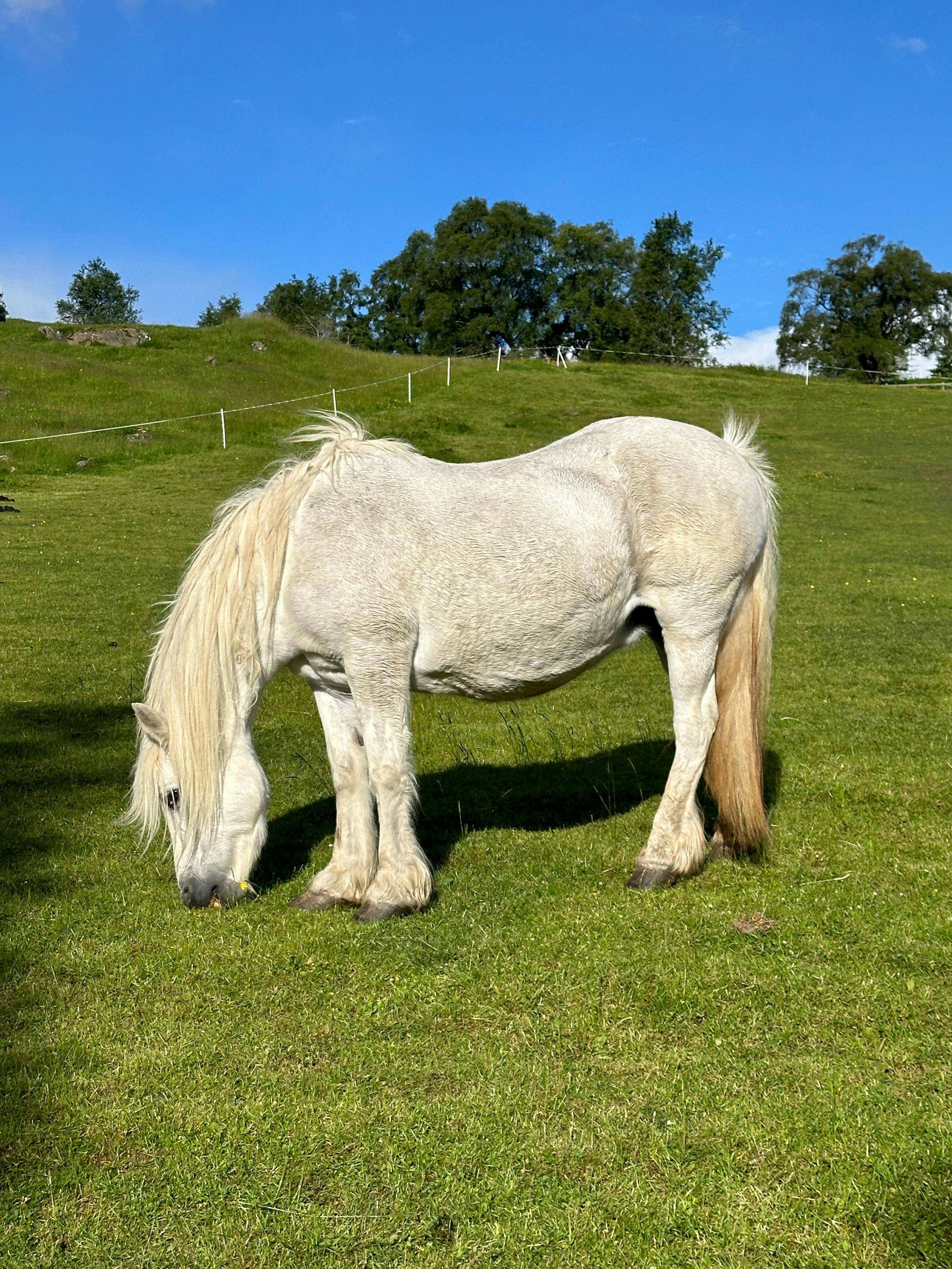 Photo by varunsplash