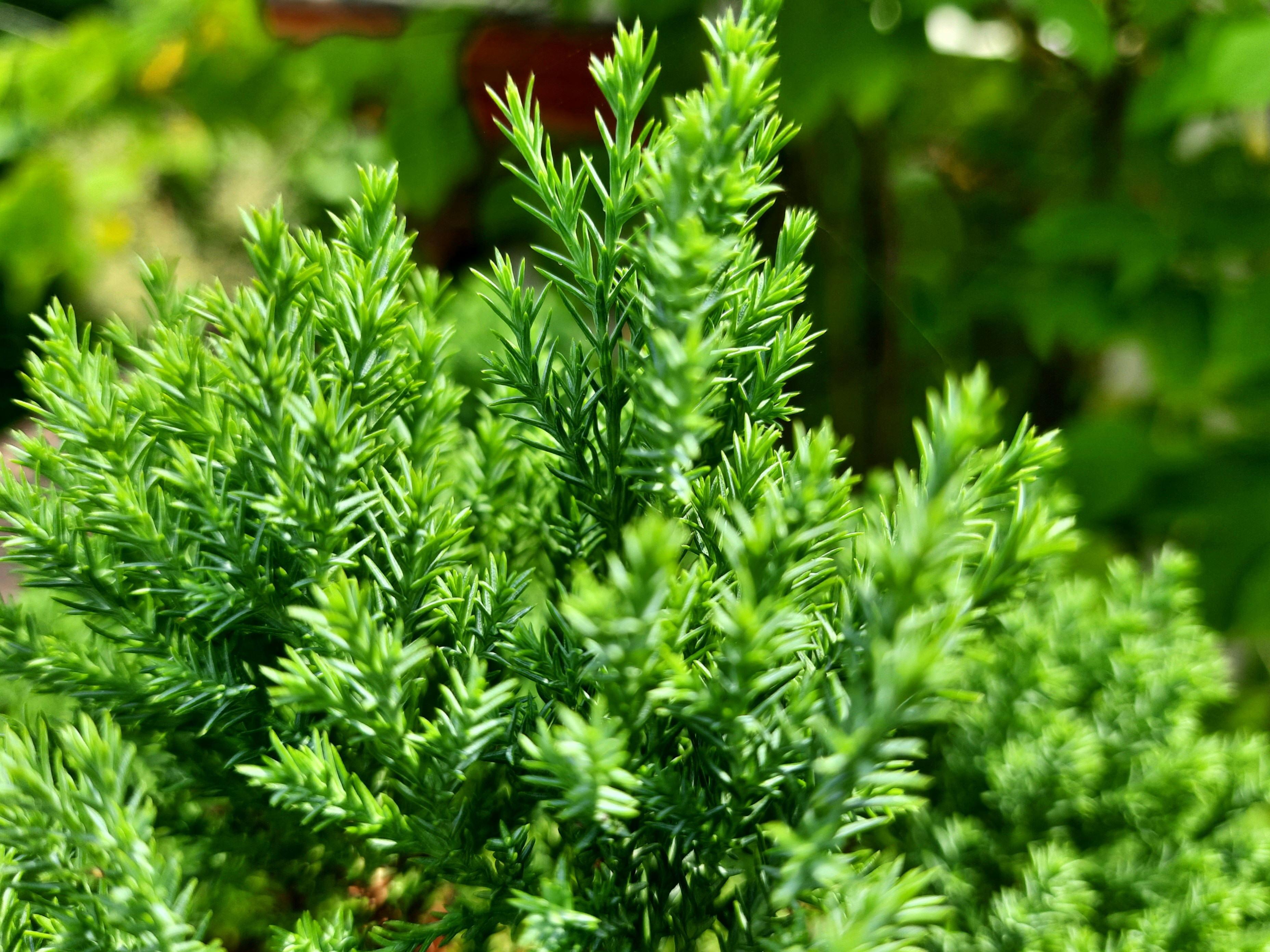 Photo by shutters_flutter