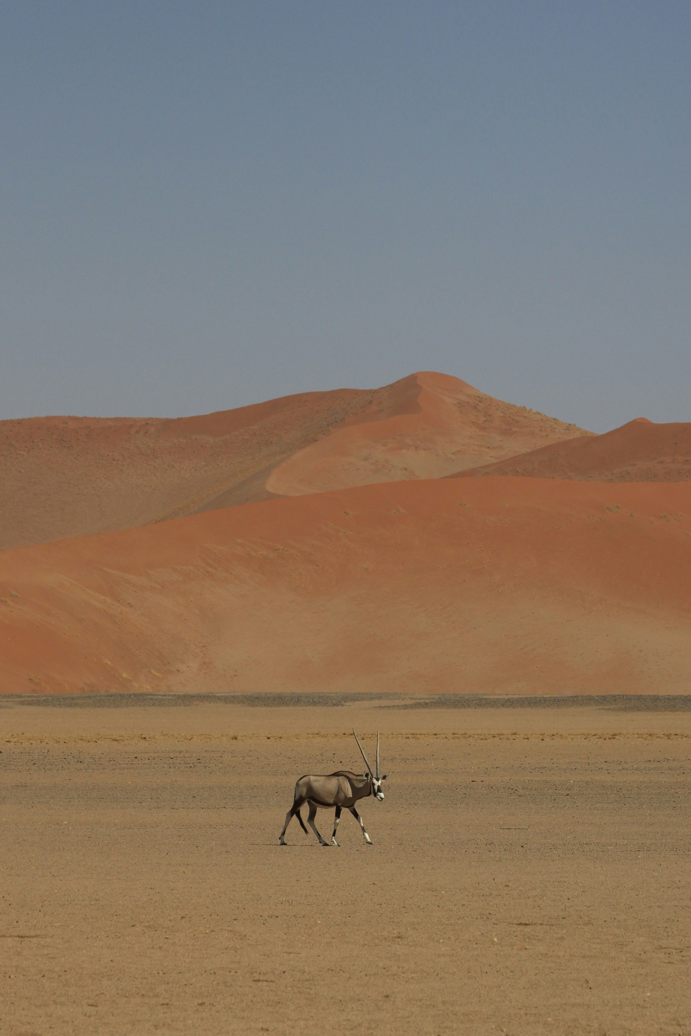 Photo by arthursouquet