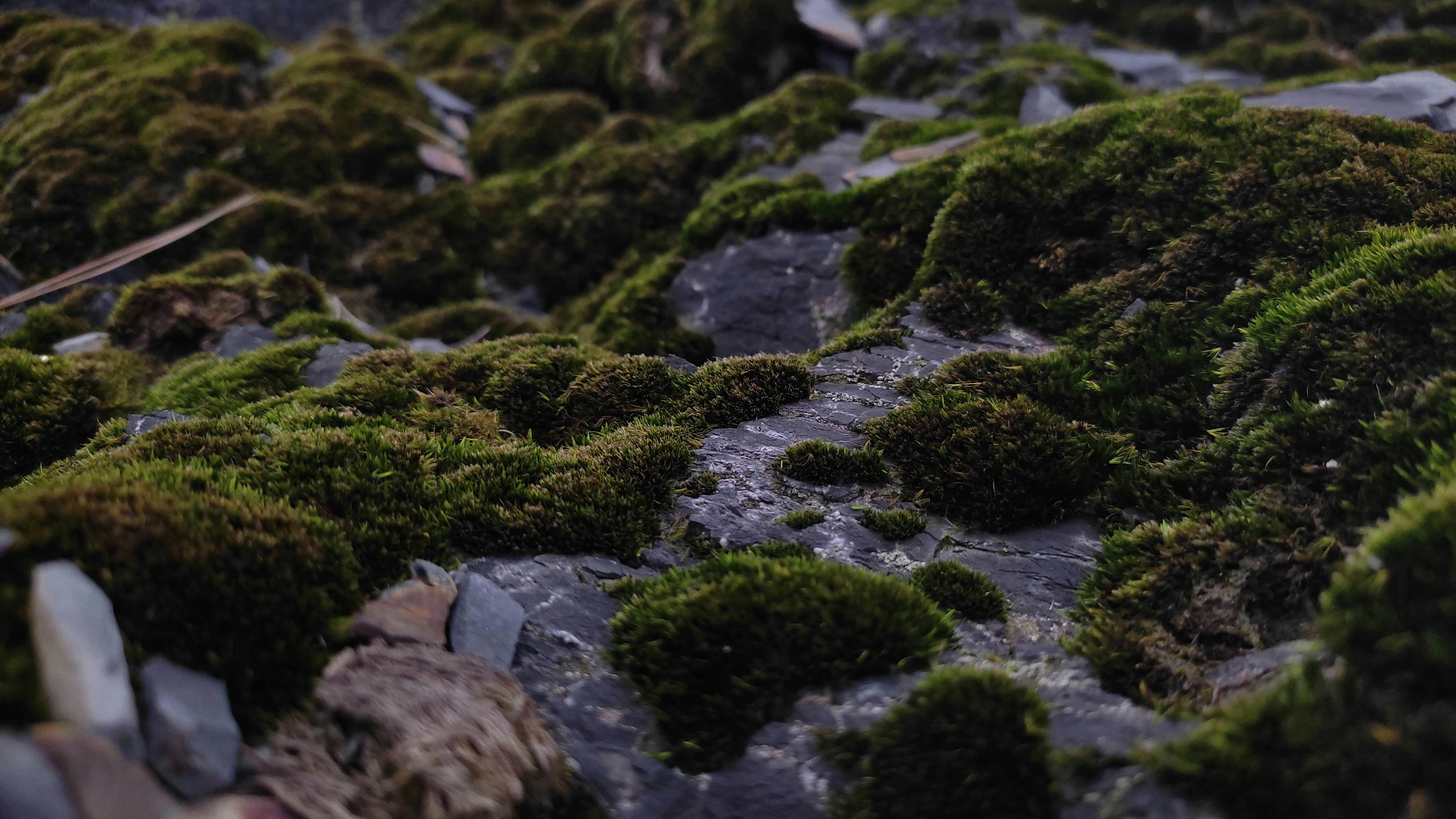 Photo by b_theweirdone