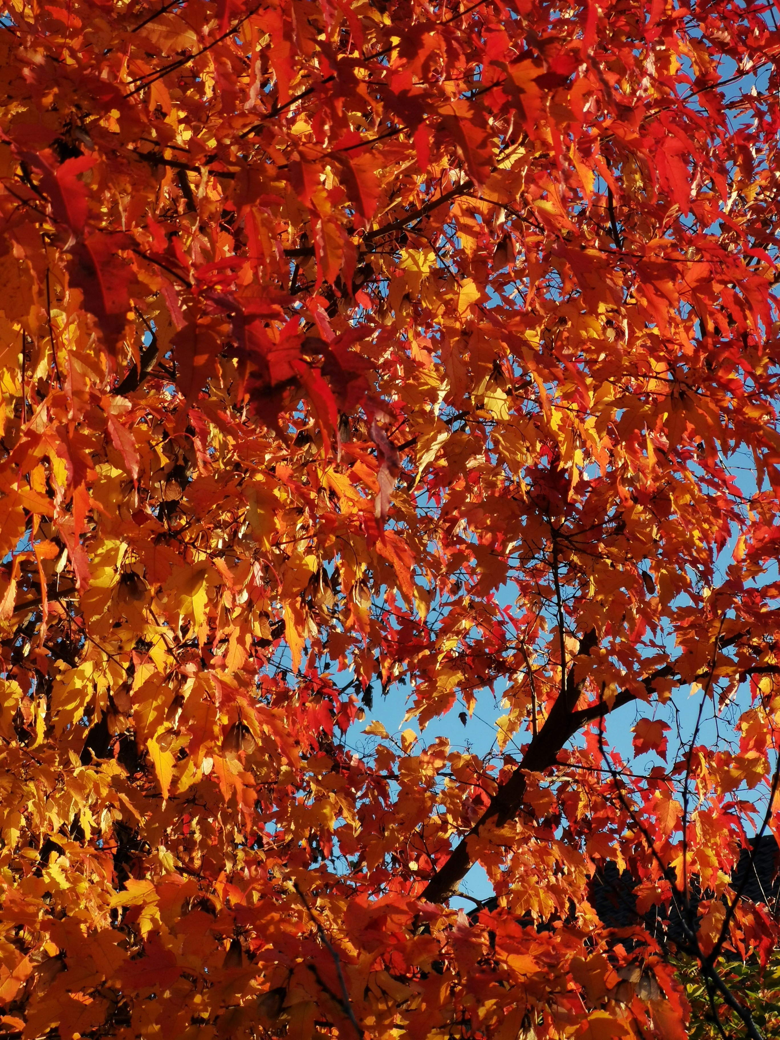 Photo by ann_integra