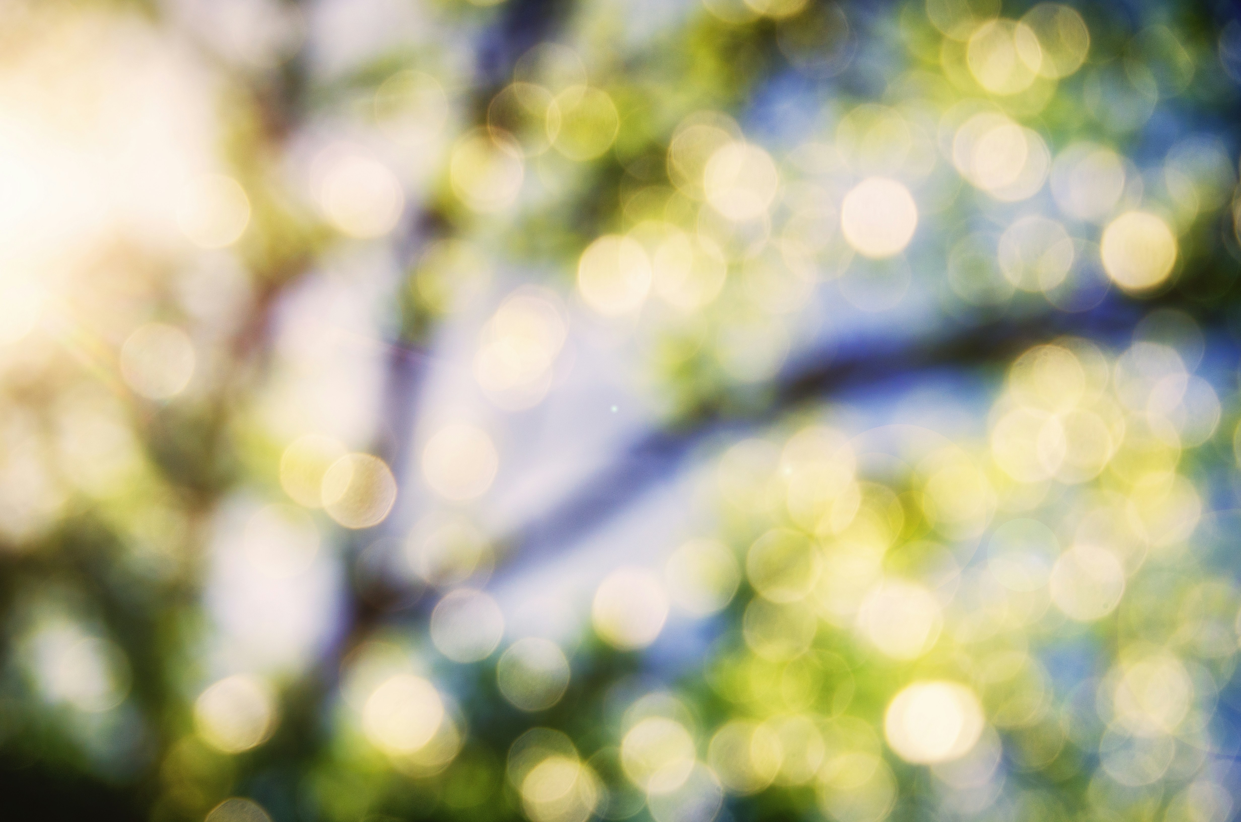 Photo by jensineodom