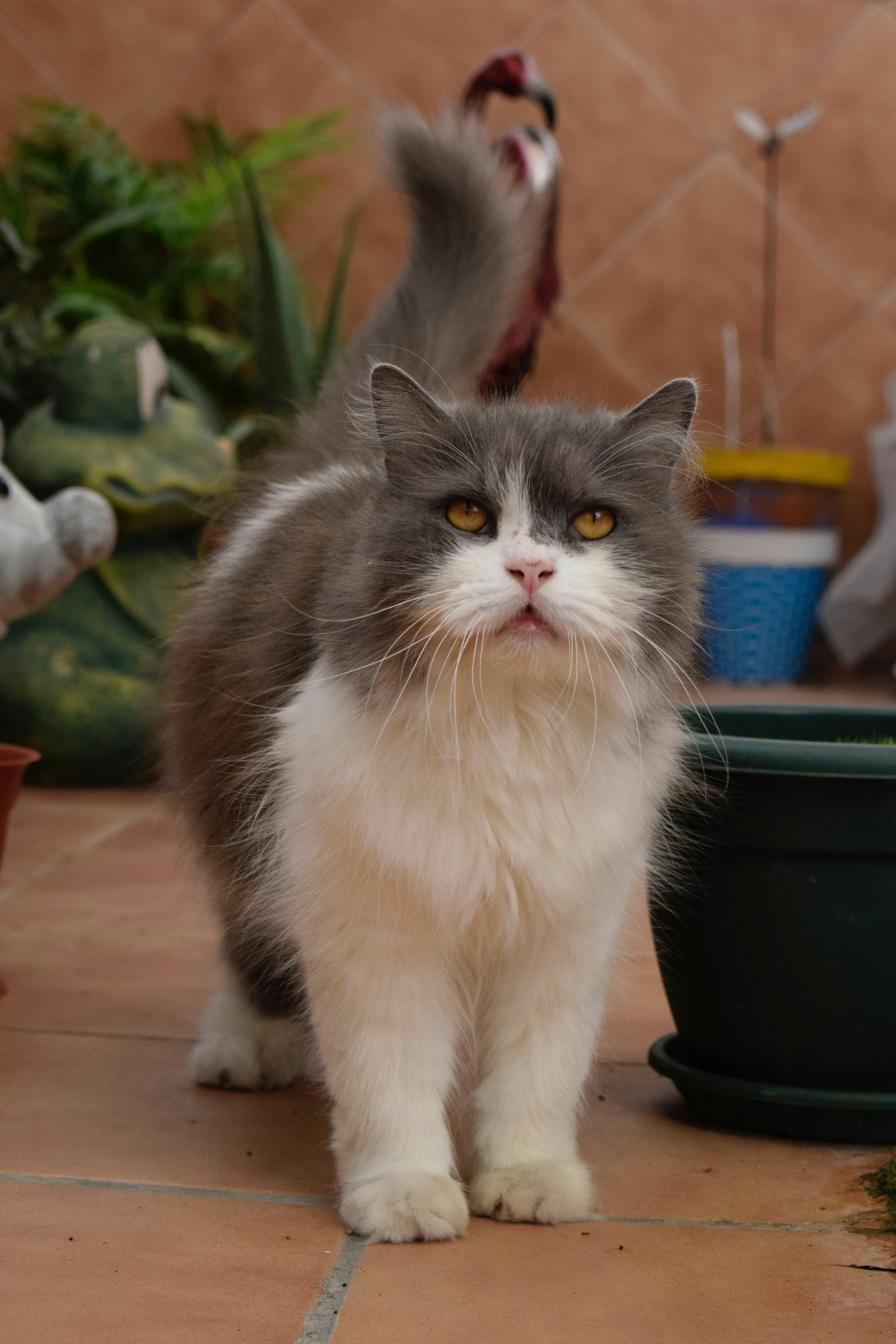 Photo by ireenee_fdez