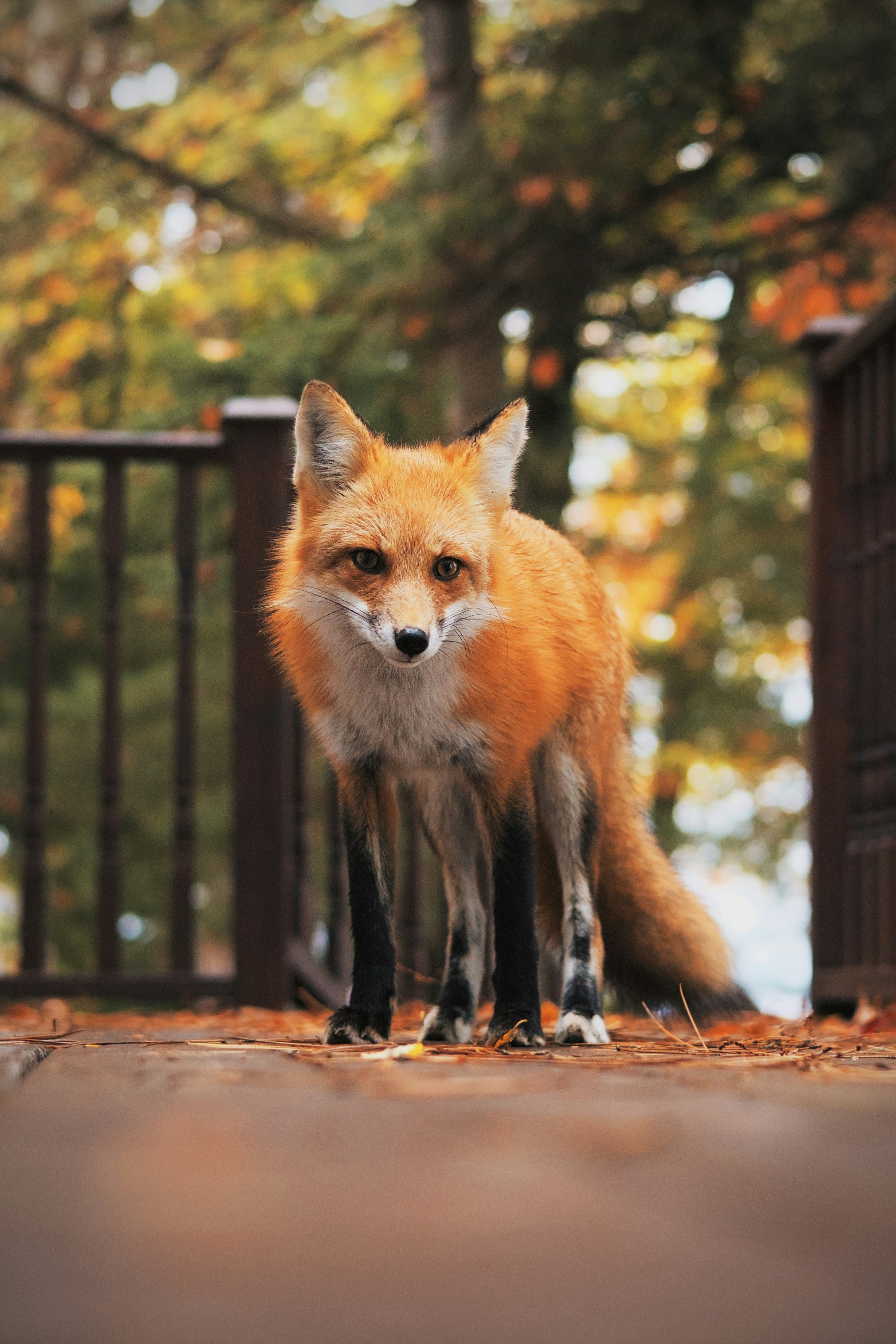 Password sensibilities...