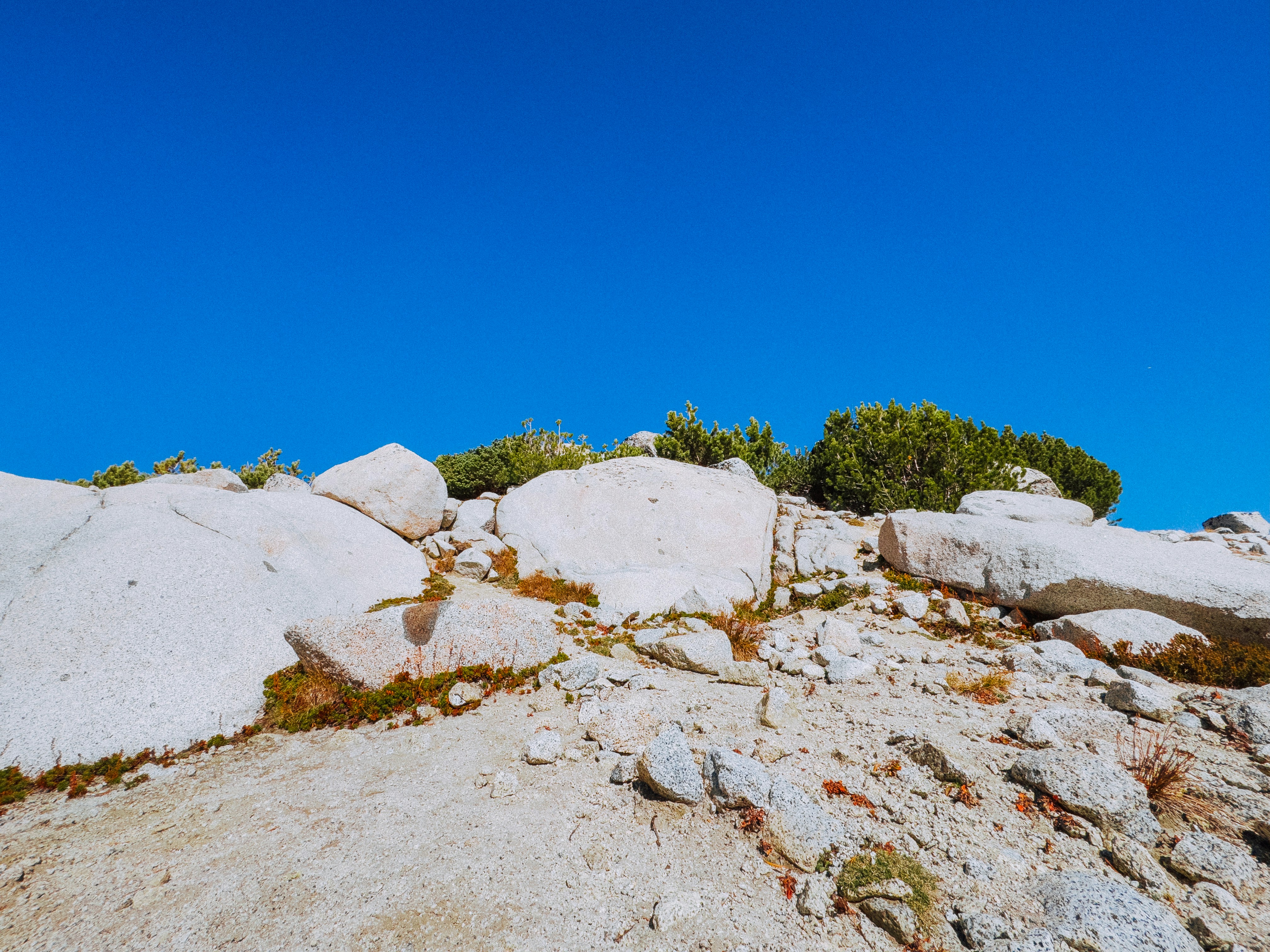 Photo by kamerondesign