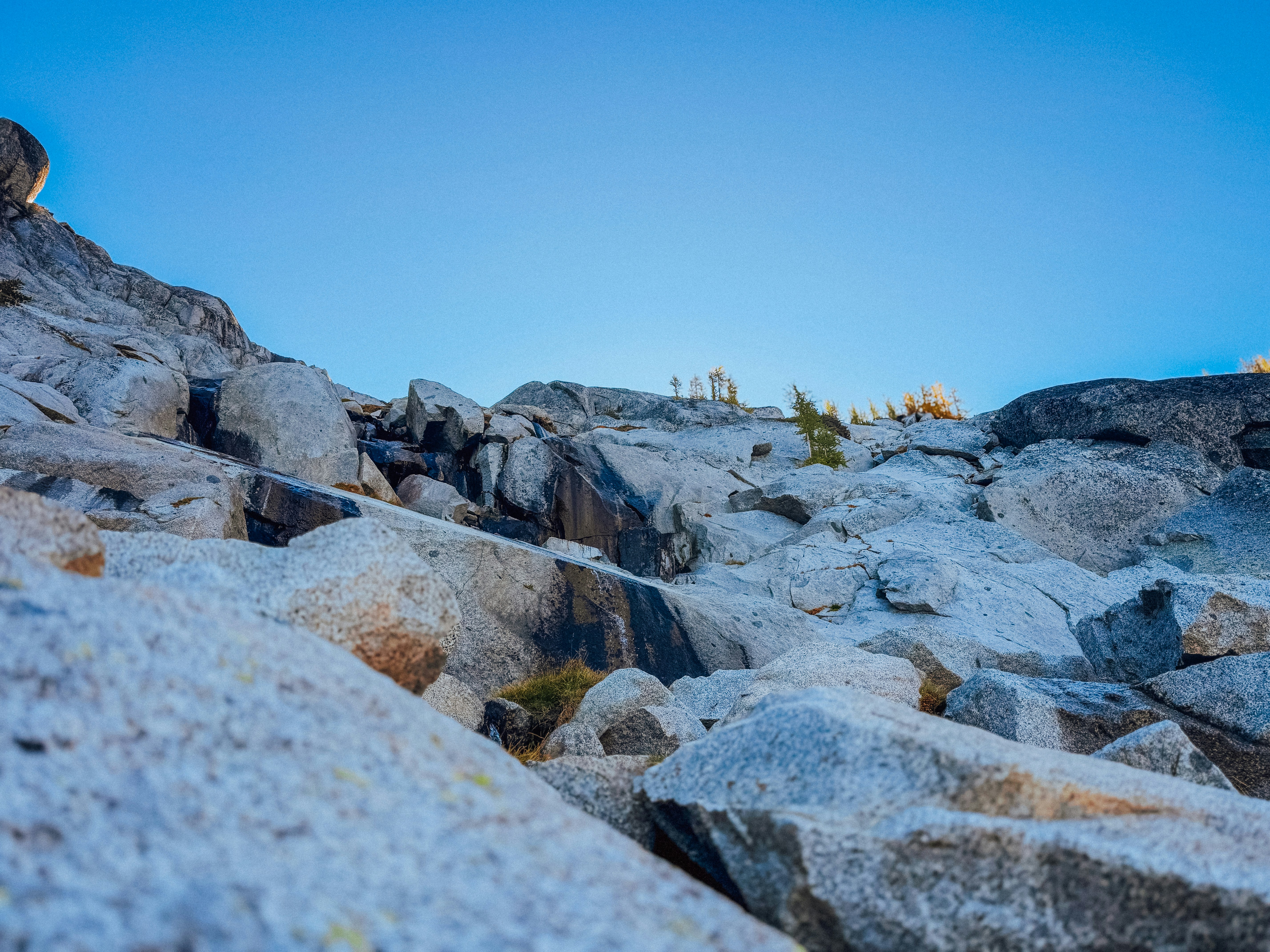 Photo by kamerondesign