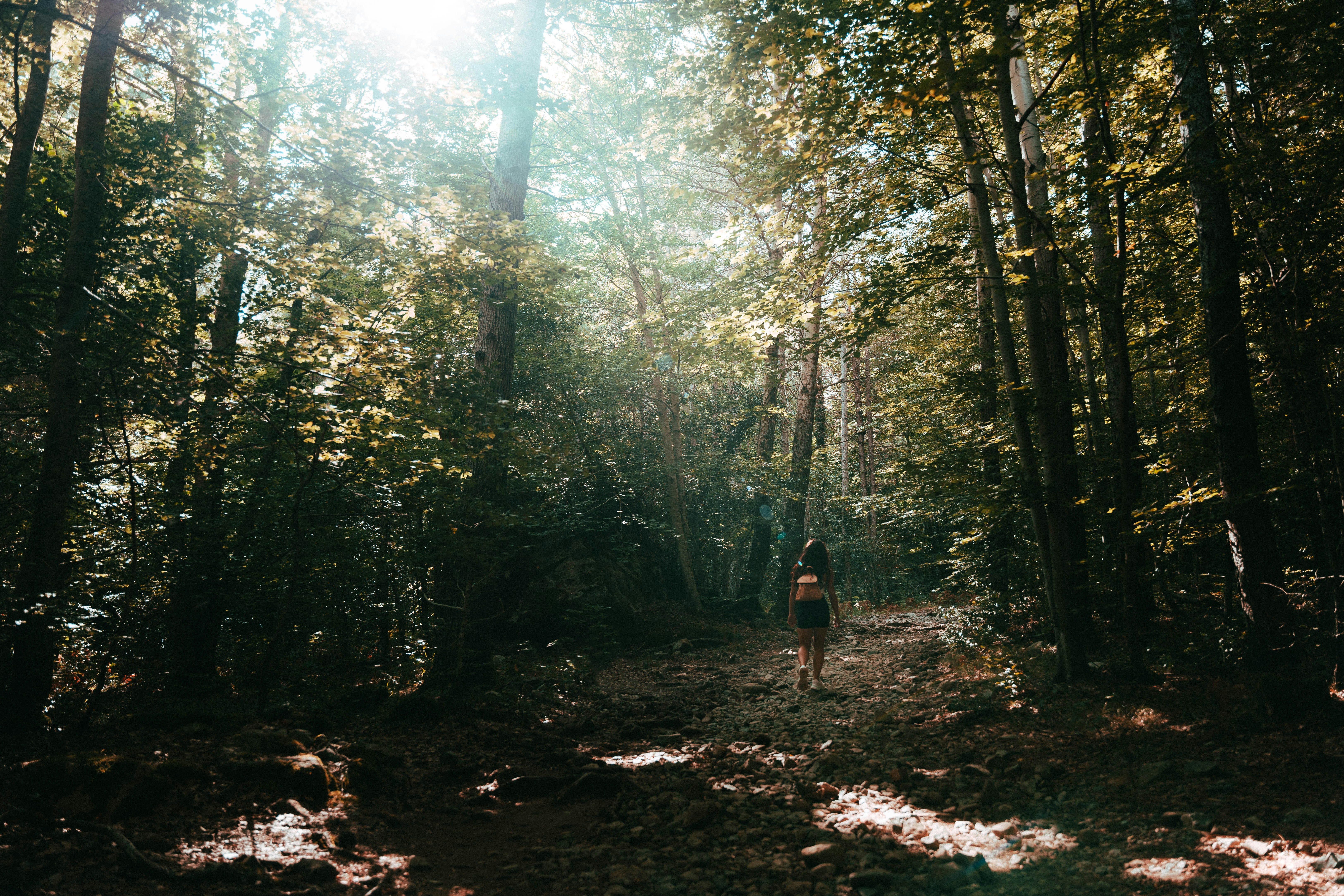 Photo by maximerandazzo