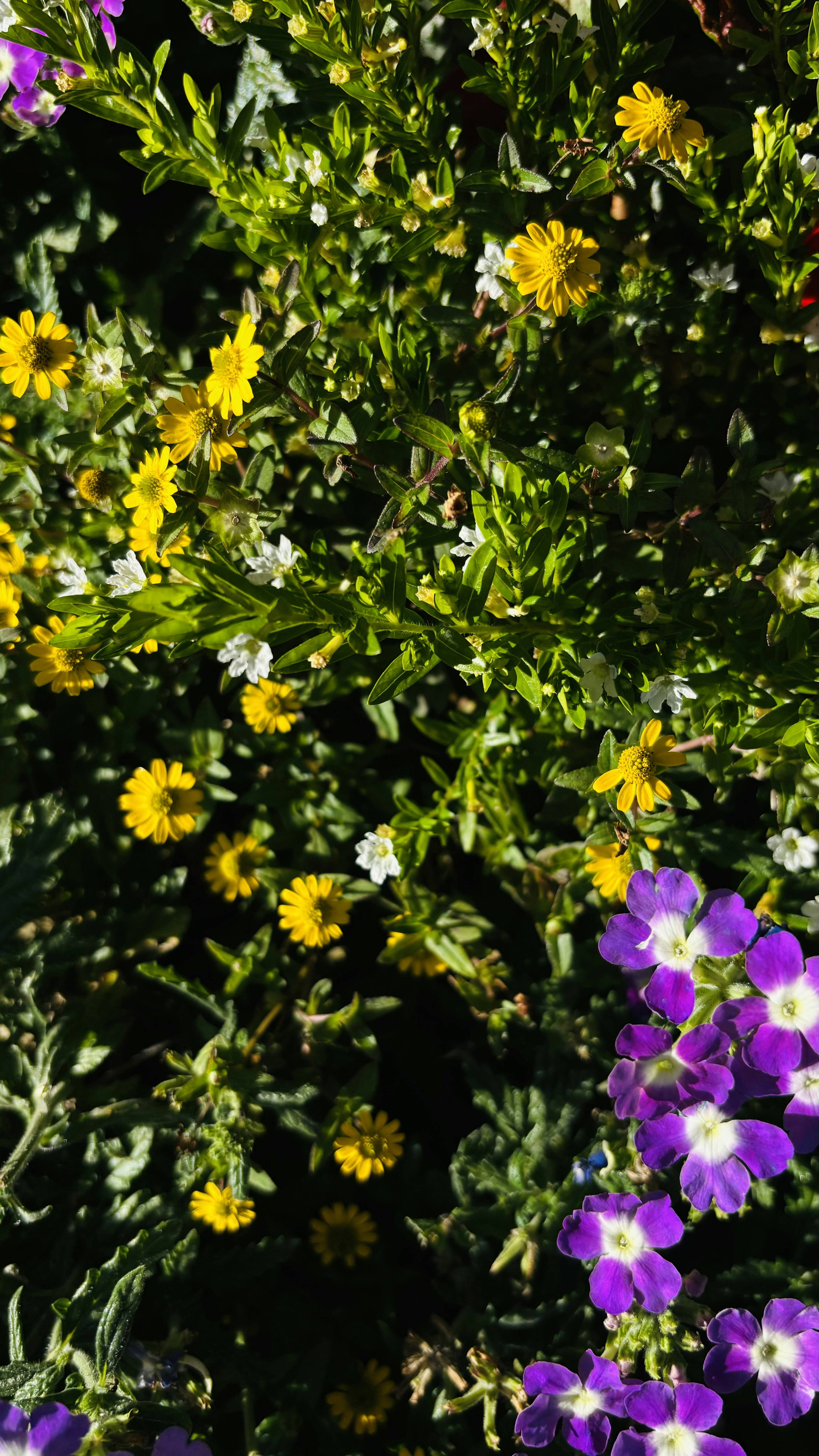 Photo by palagummi_94