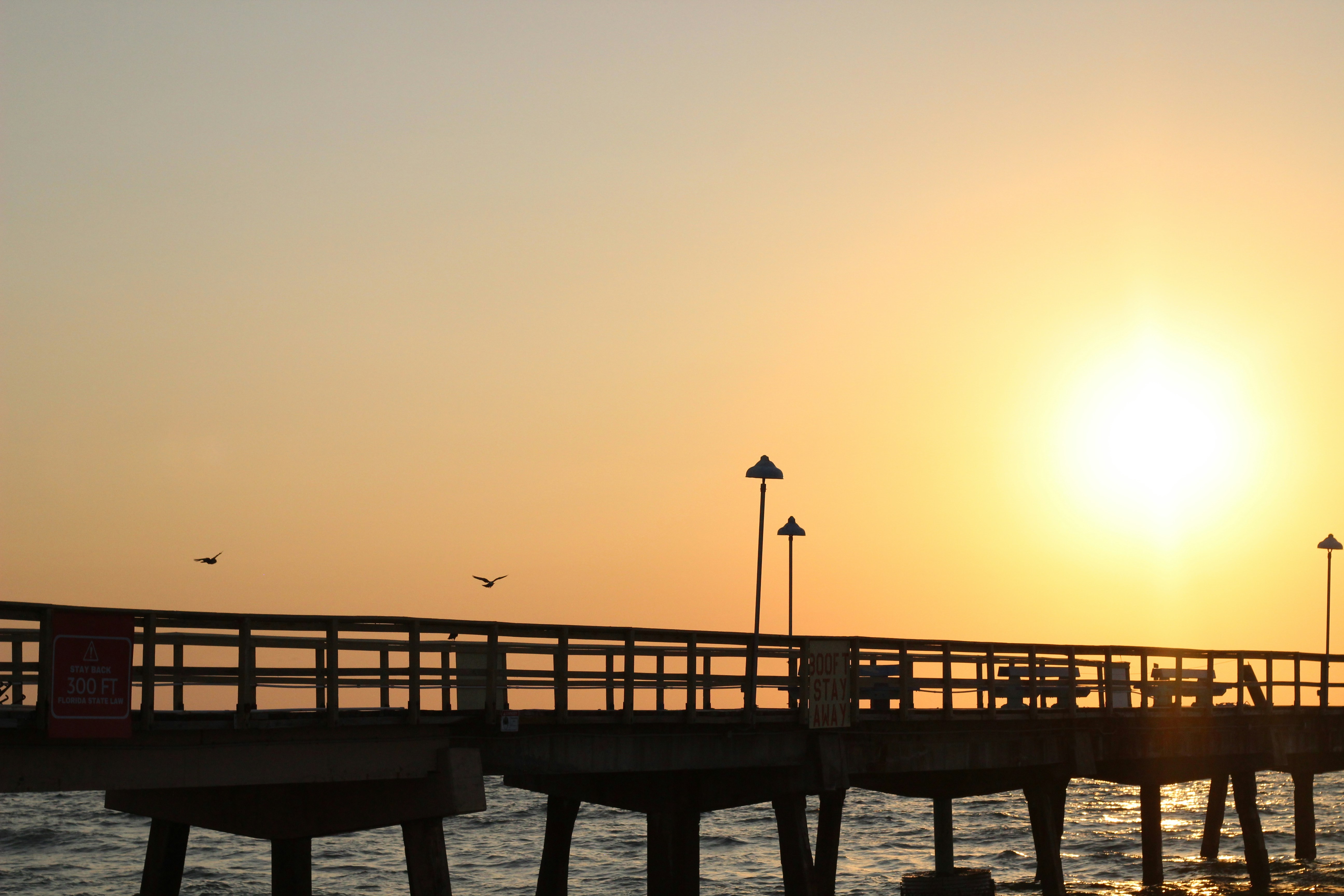 Gente en la playa durante la puesta de sol foto – Imagen de Mar gratuita en  Unsplash, image size:3000x2000