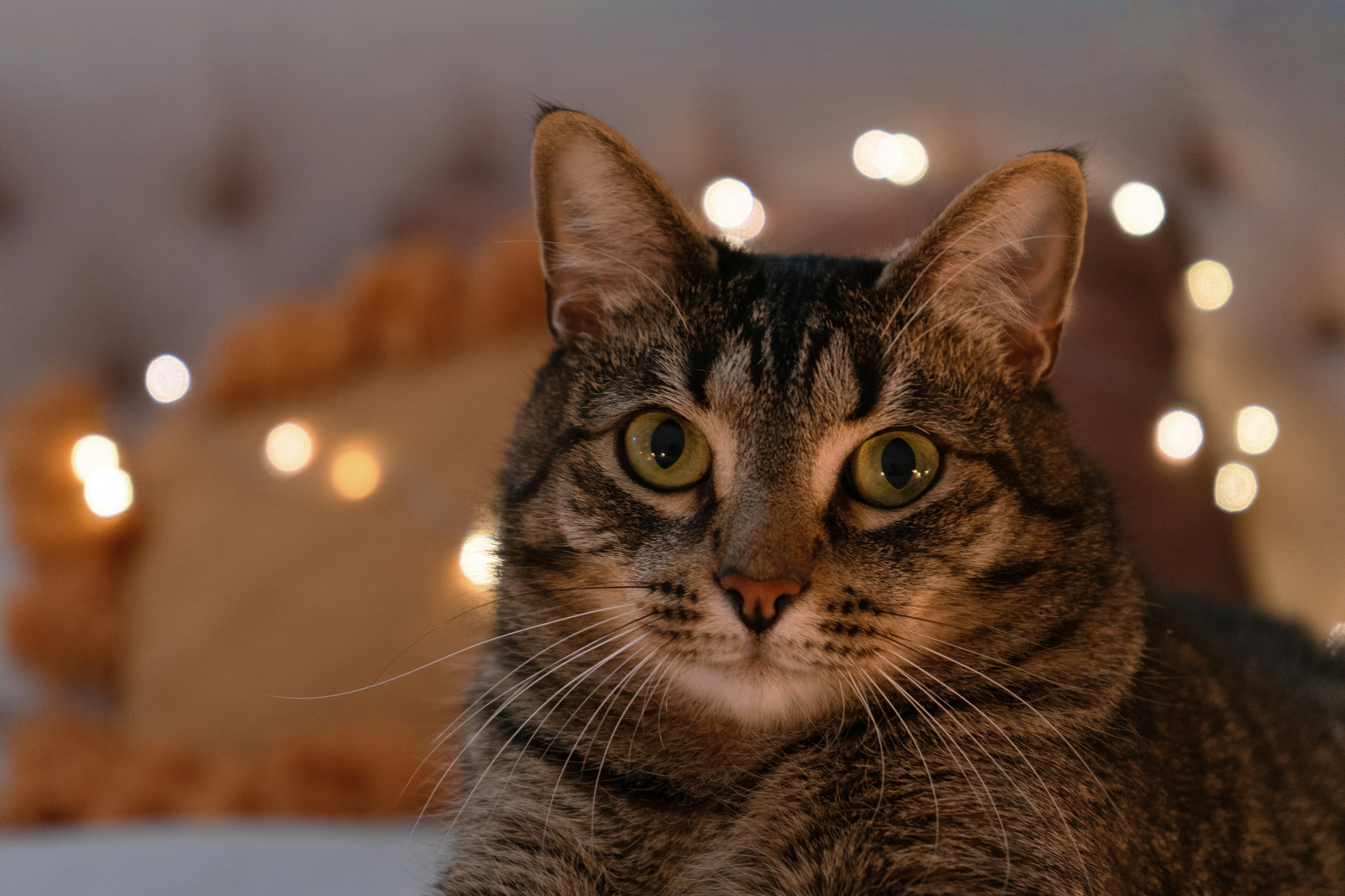 Body Language Unlocked: Relaxed Postures (image credits: unsplash)