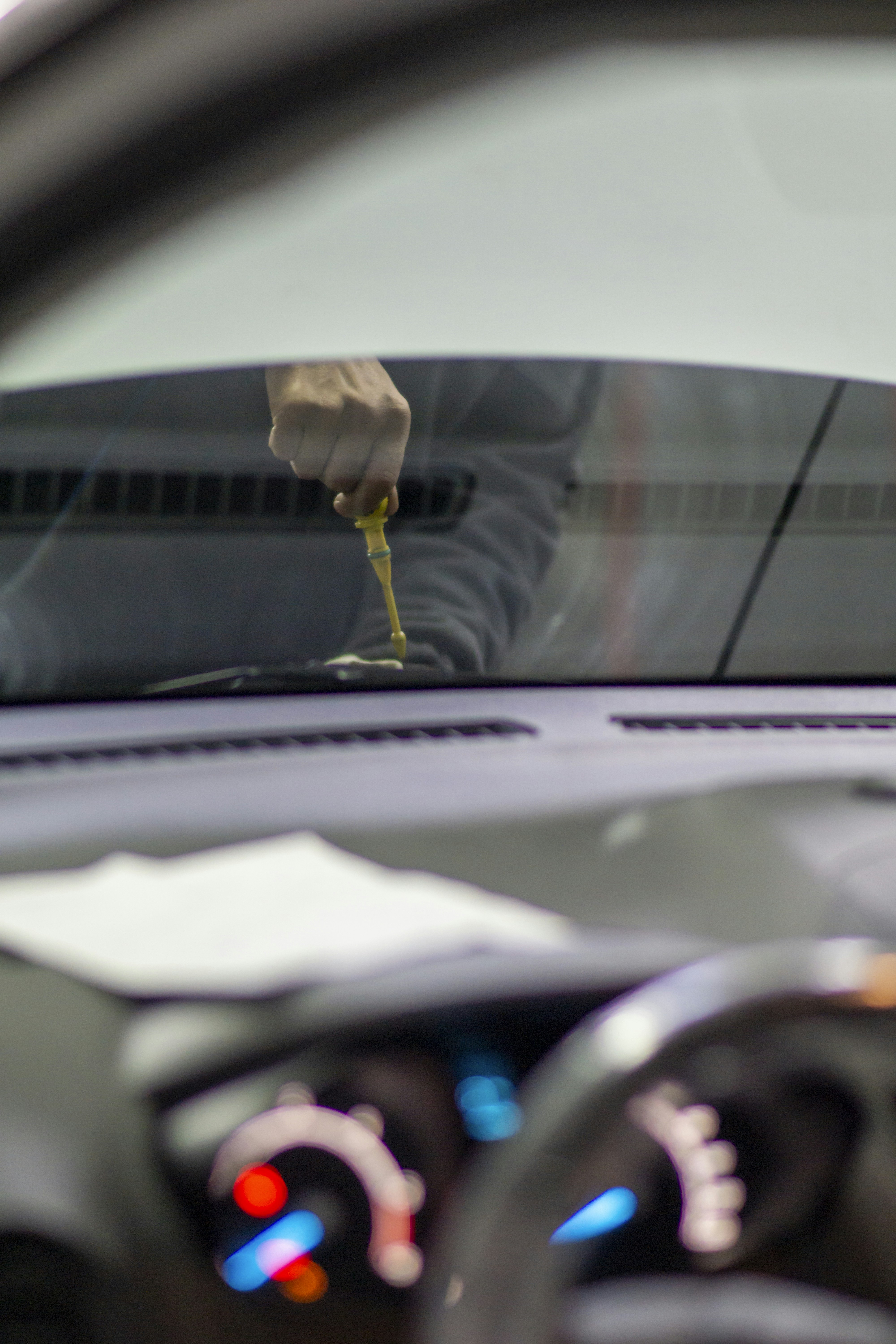 A person is sitting in a car with a flower in their hand