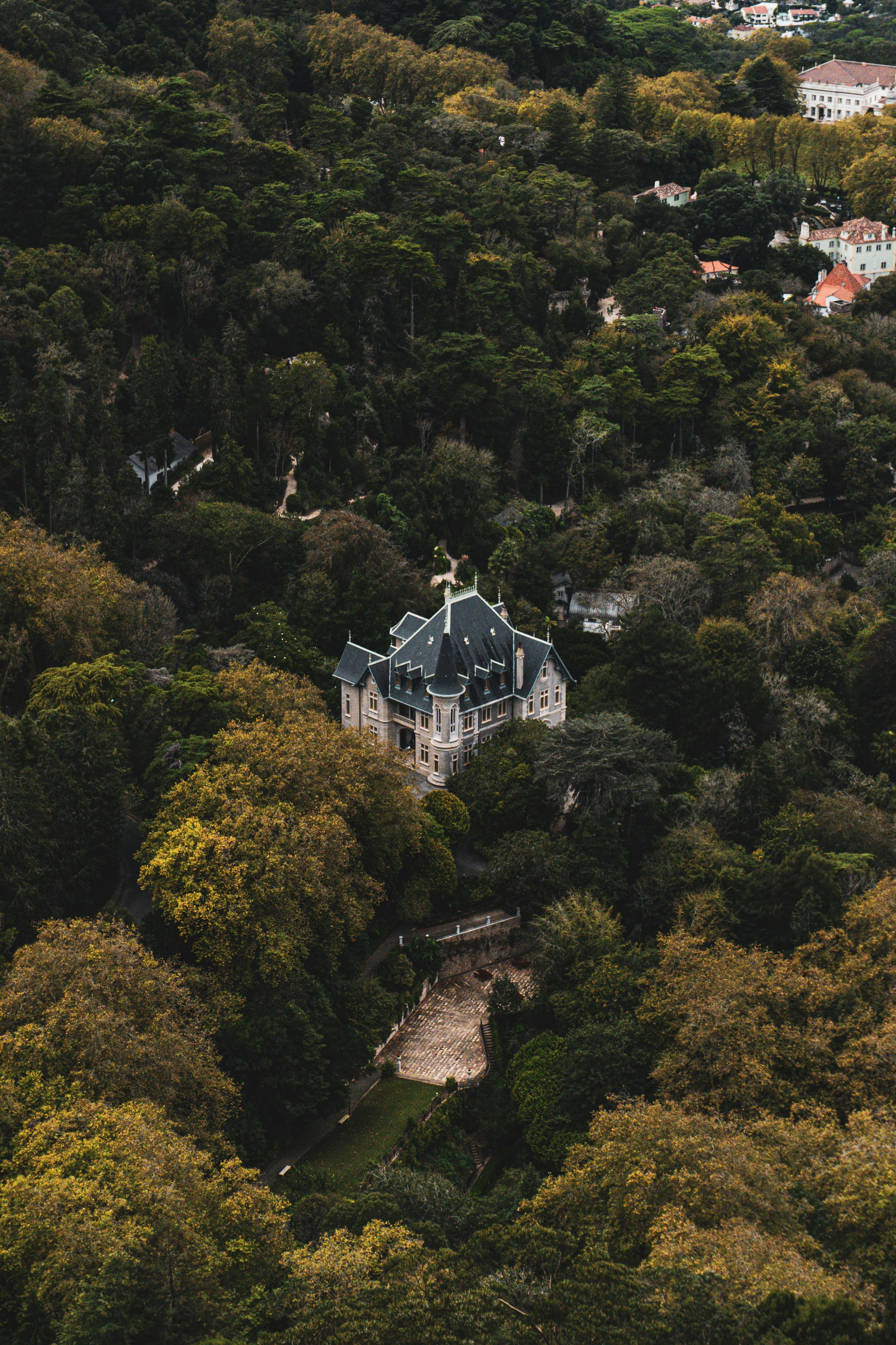 木々に囲まれた家々の空中写真