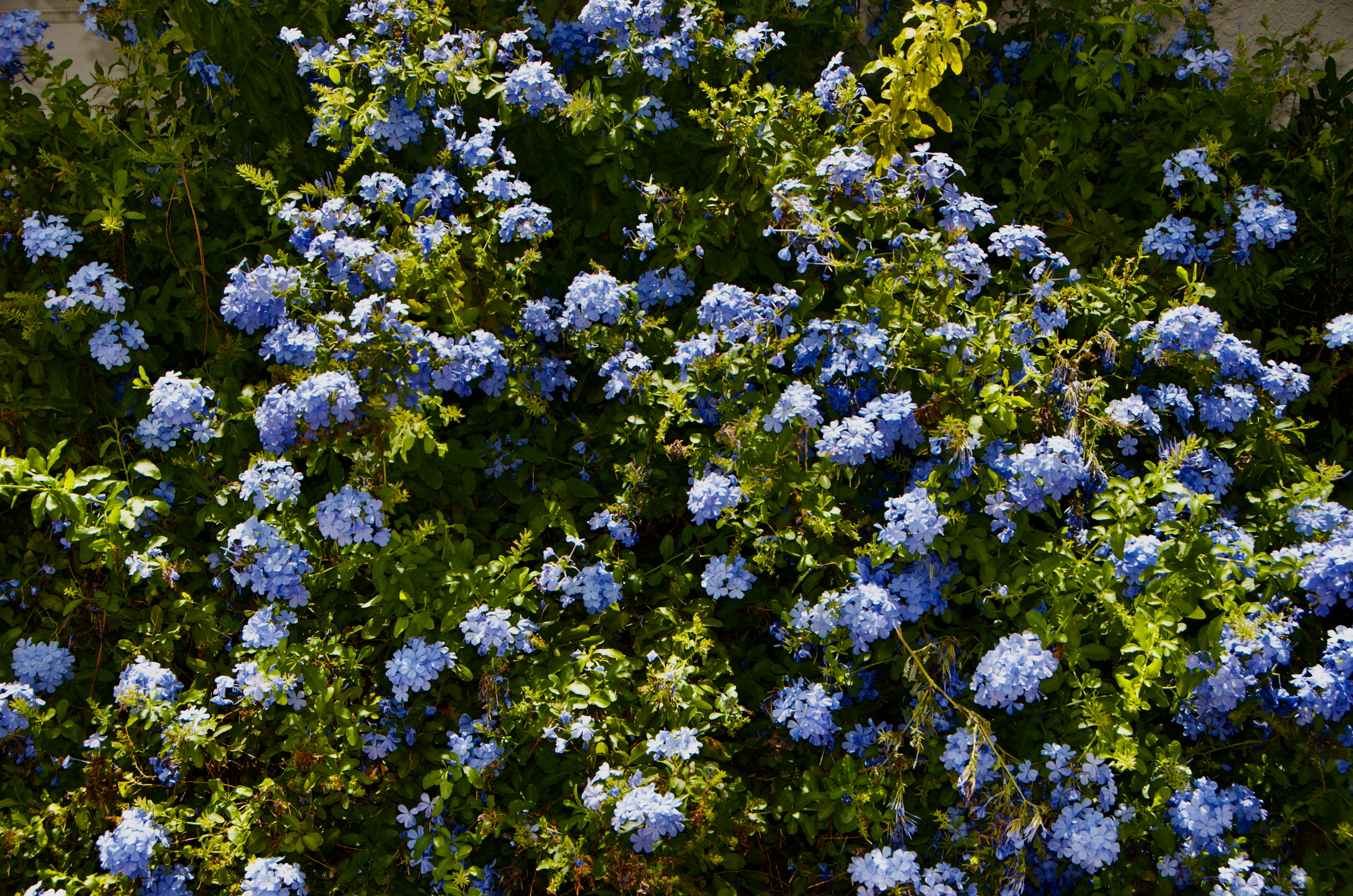 Photo by missylynnarts