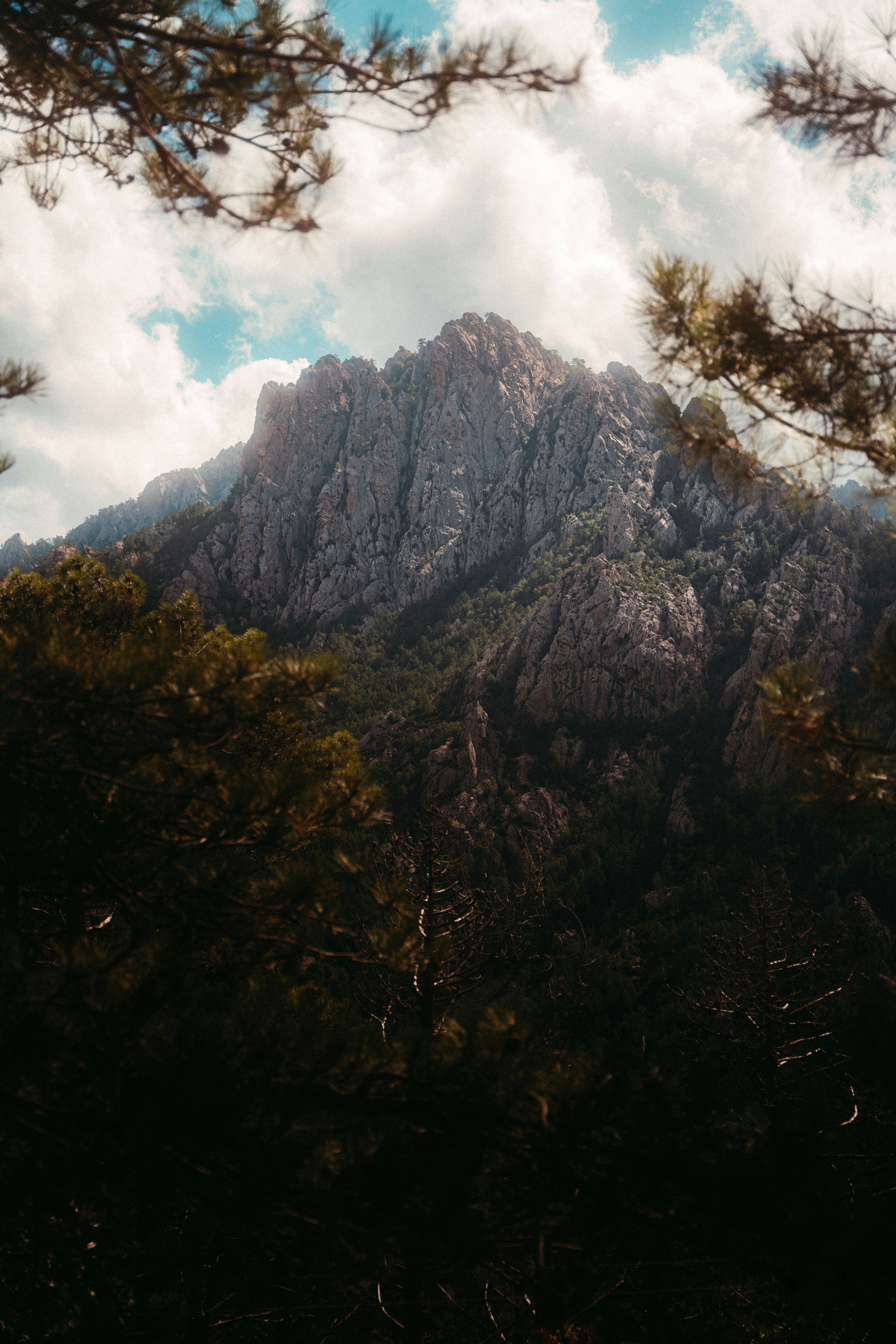 A view of a mountain through some trees