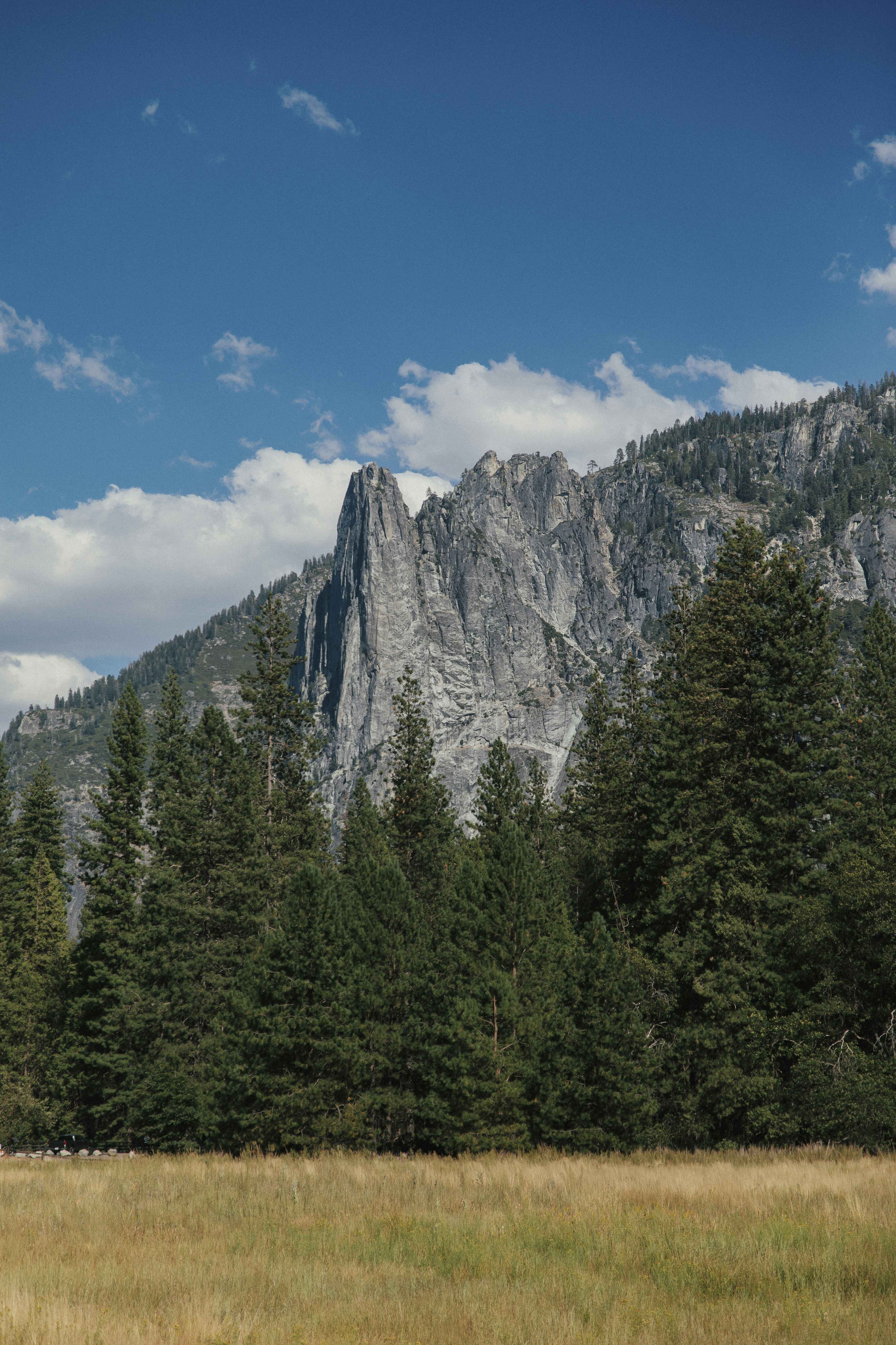 A horse grazing in a field with a mountain in the background
