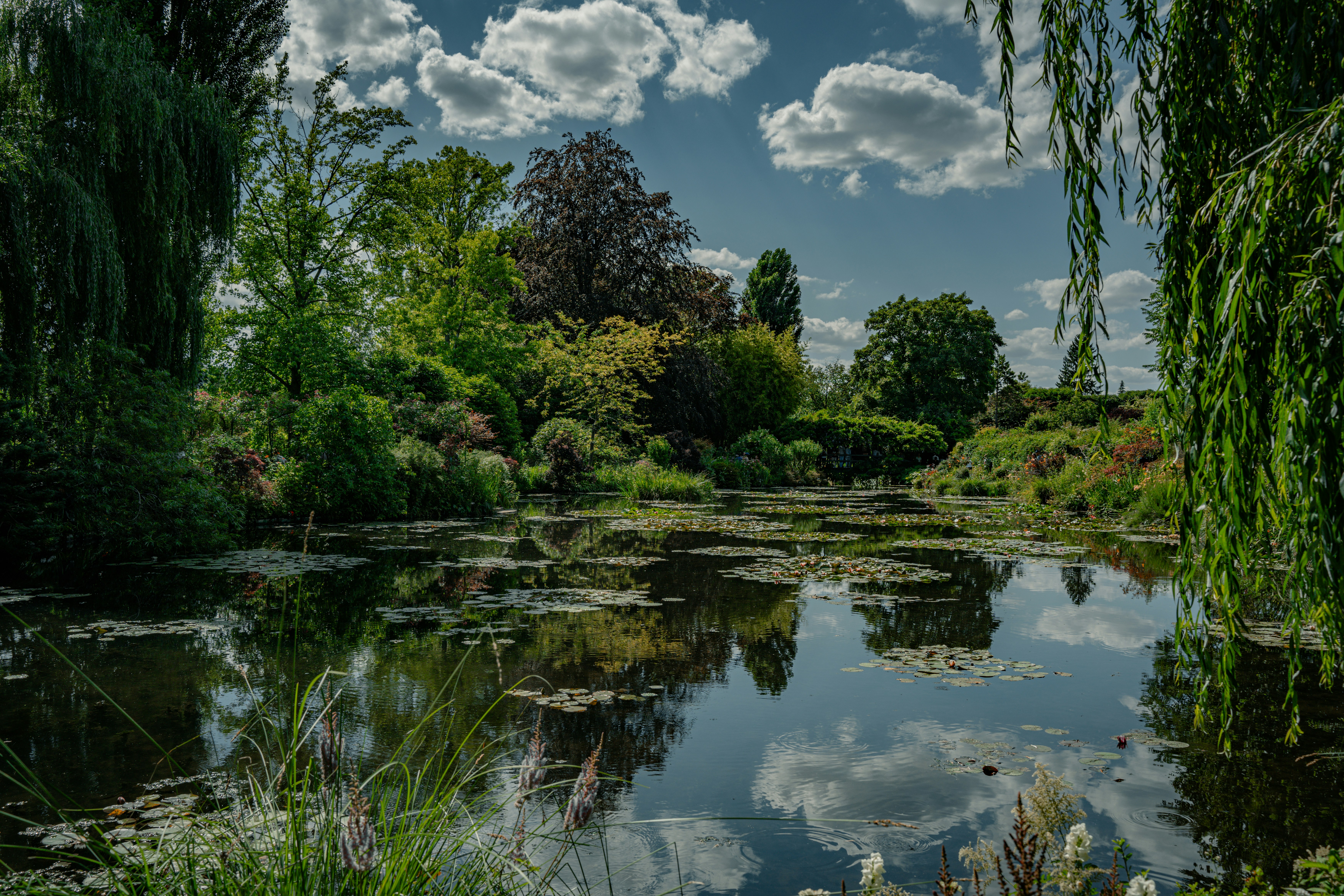 Photo by lebaron_gallery