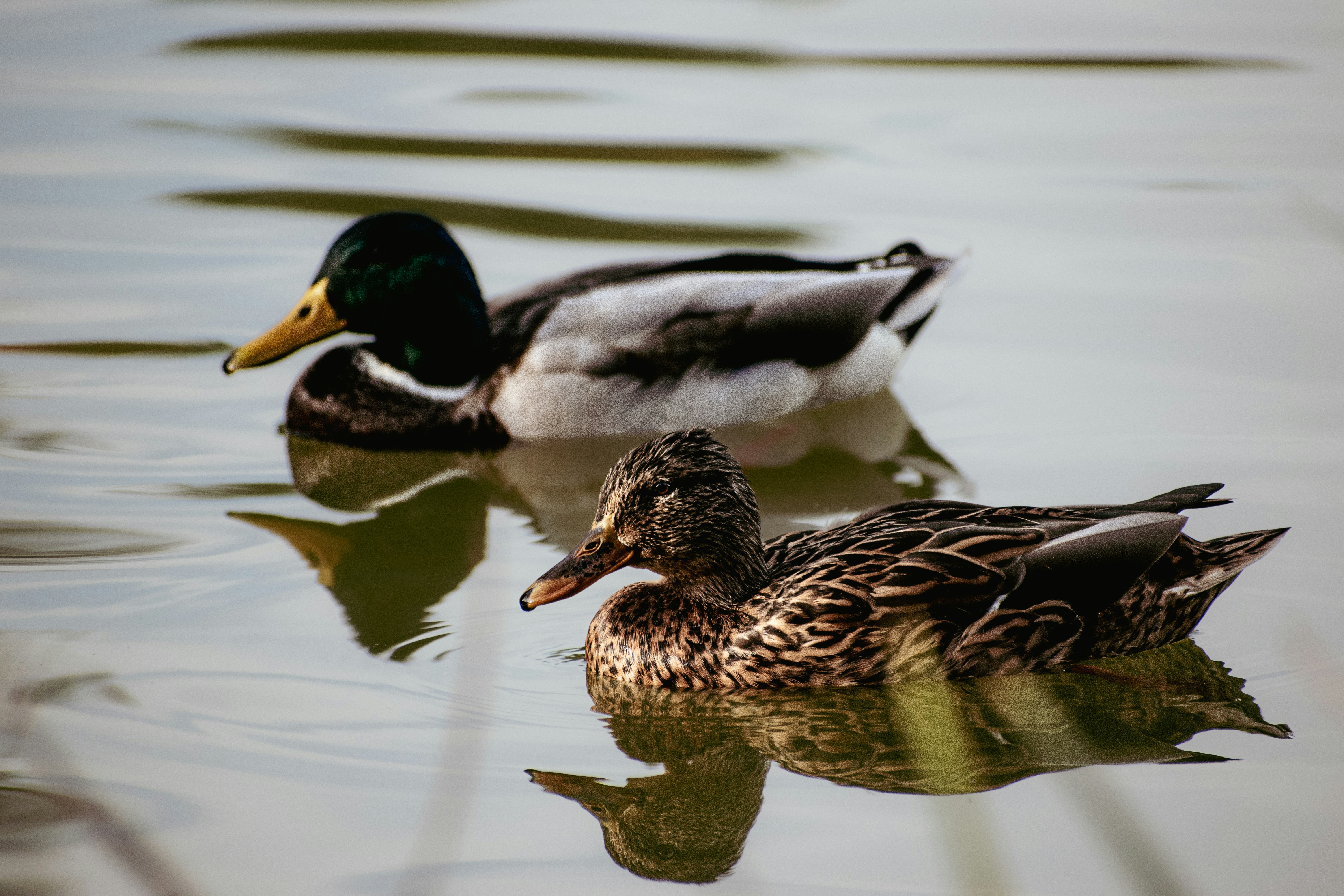 Photo by colorful_jelly