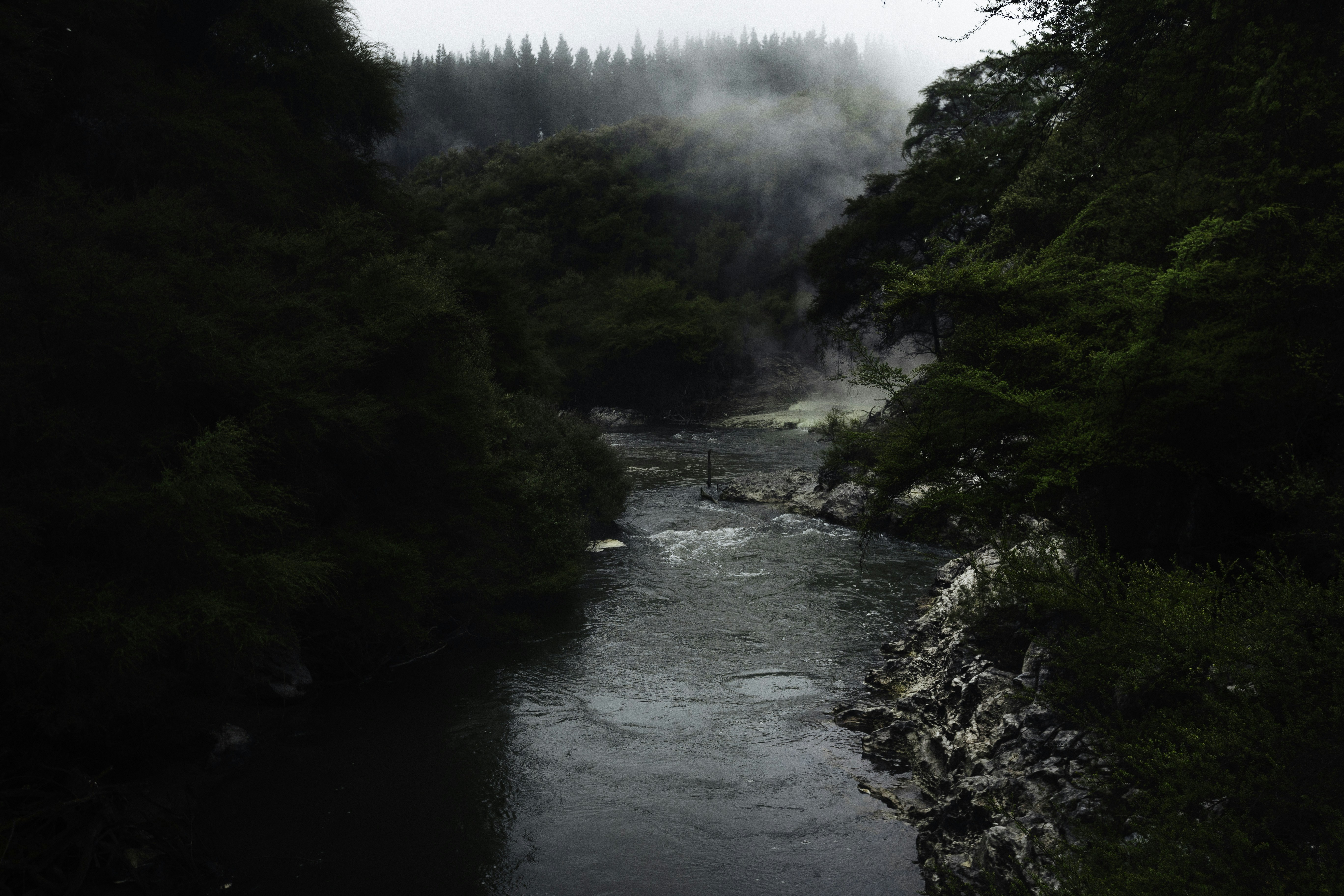 Photo by behindthetmuna