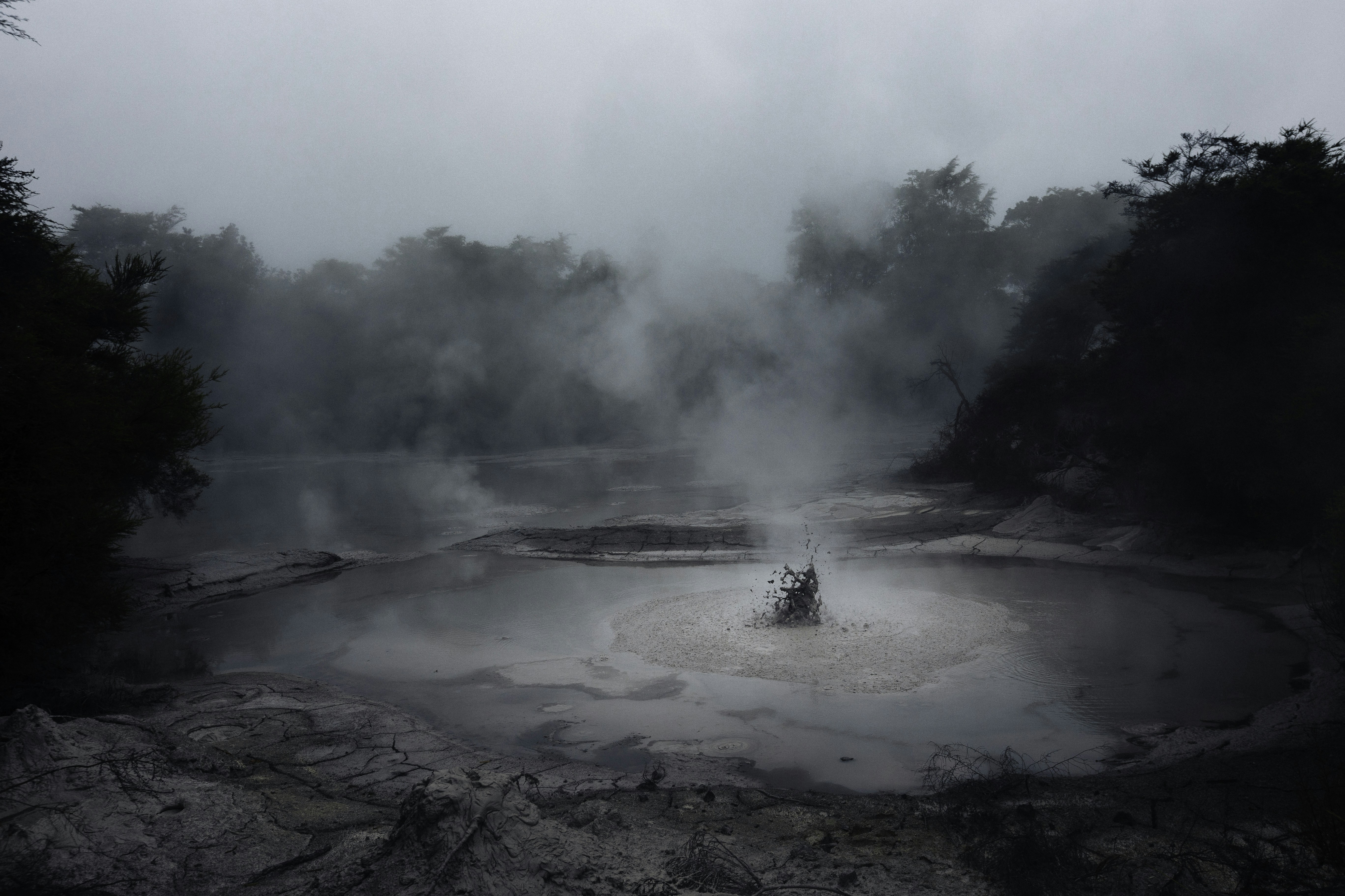 Photo by behindthetmuna