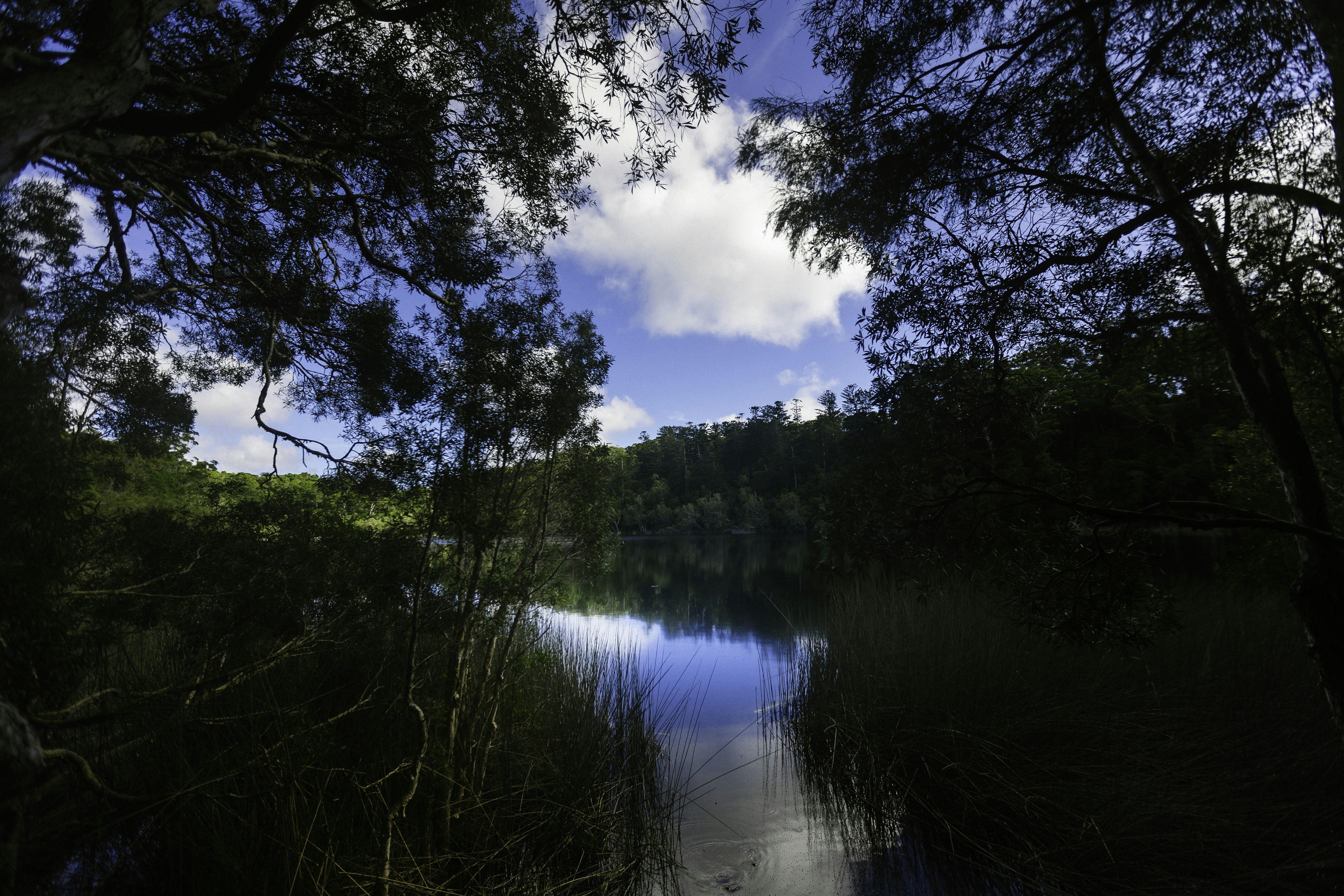 Photo by behindthetmuna