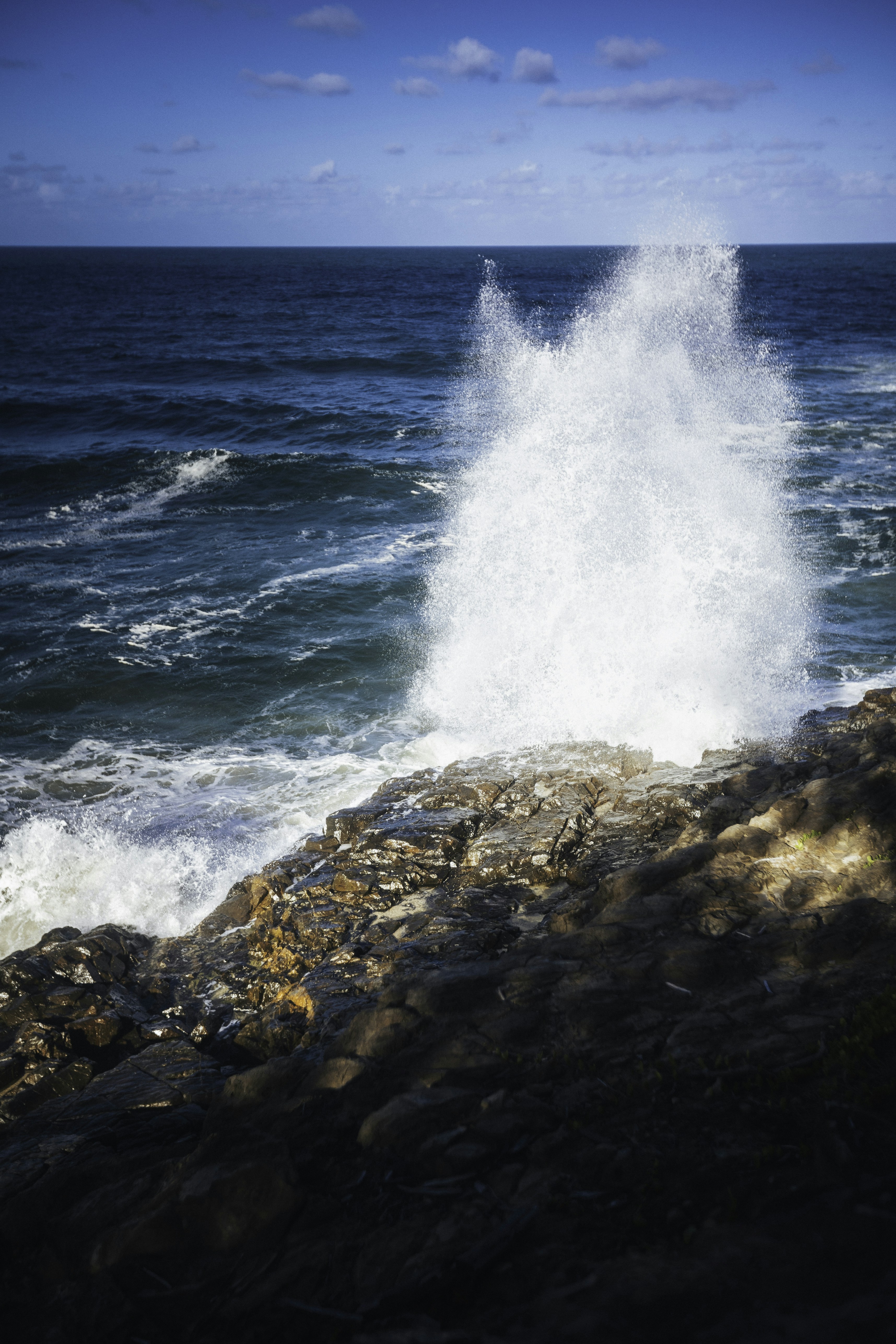 Photo by behindthetmuna