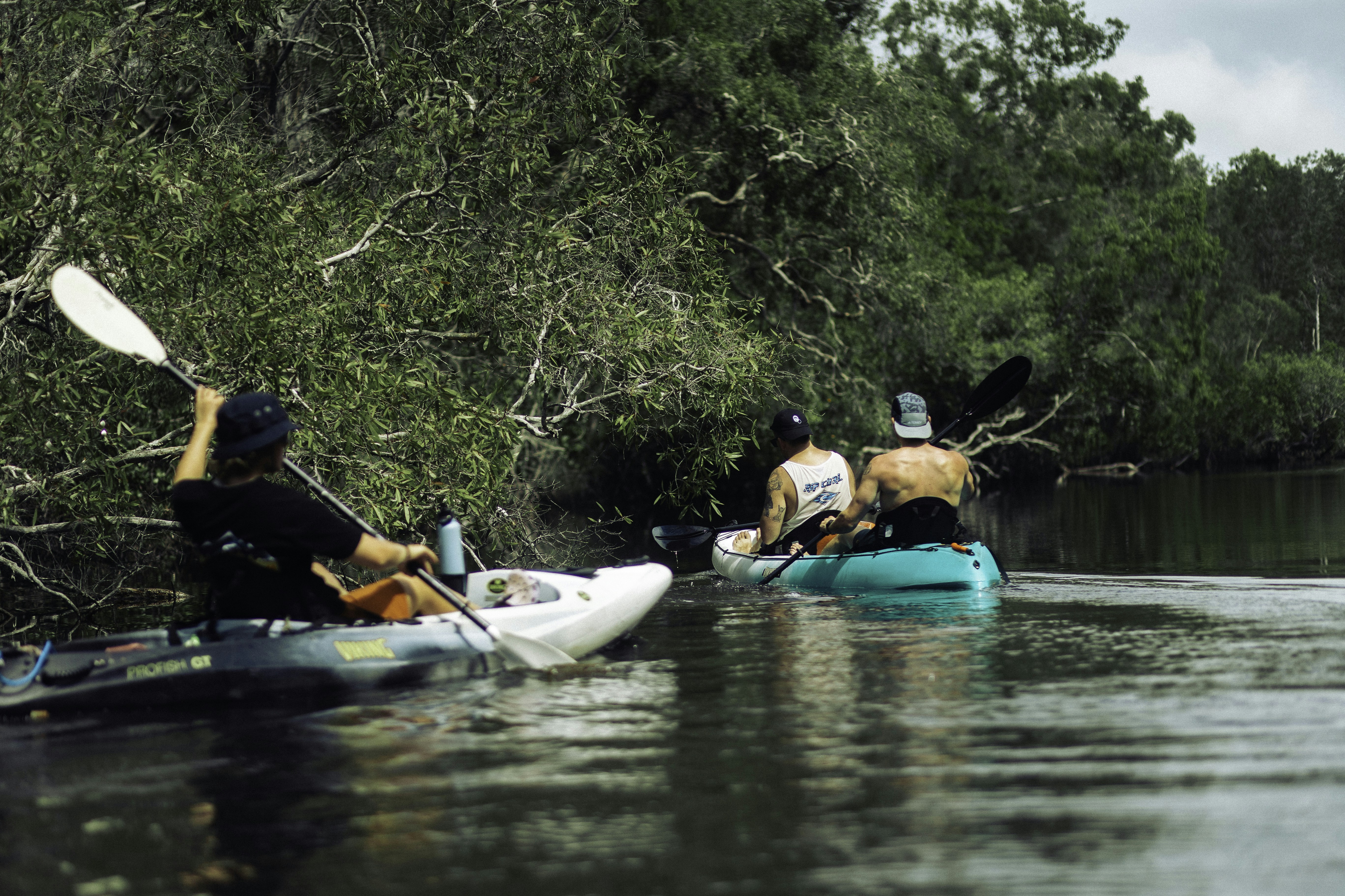 12 Florida Springs Ideal for Kayaking Adventures