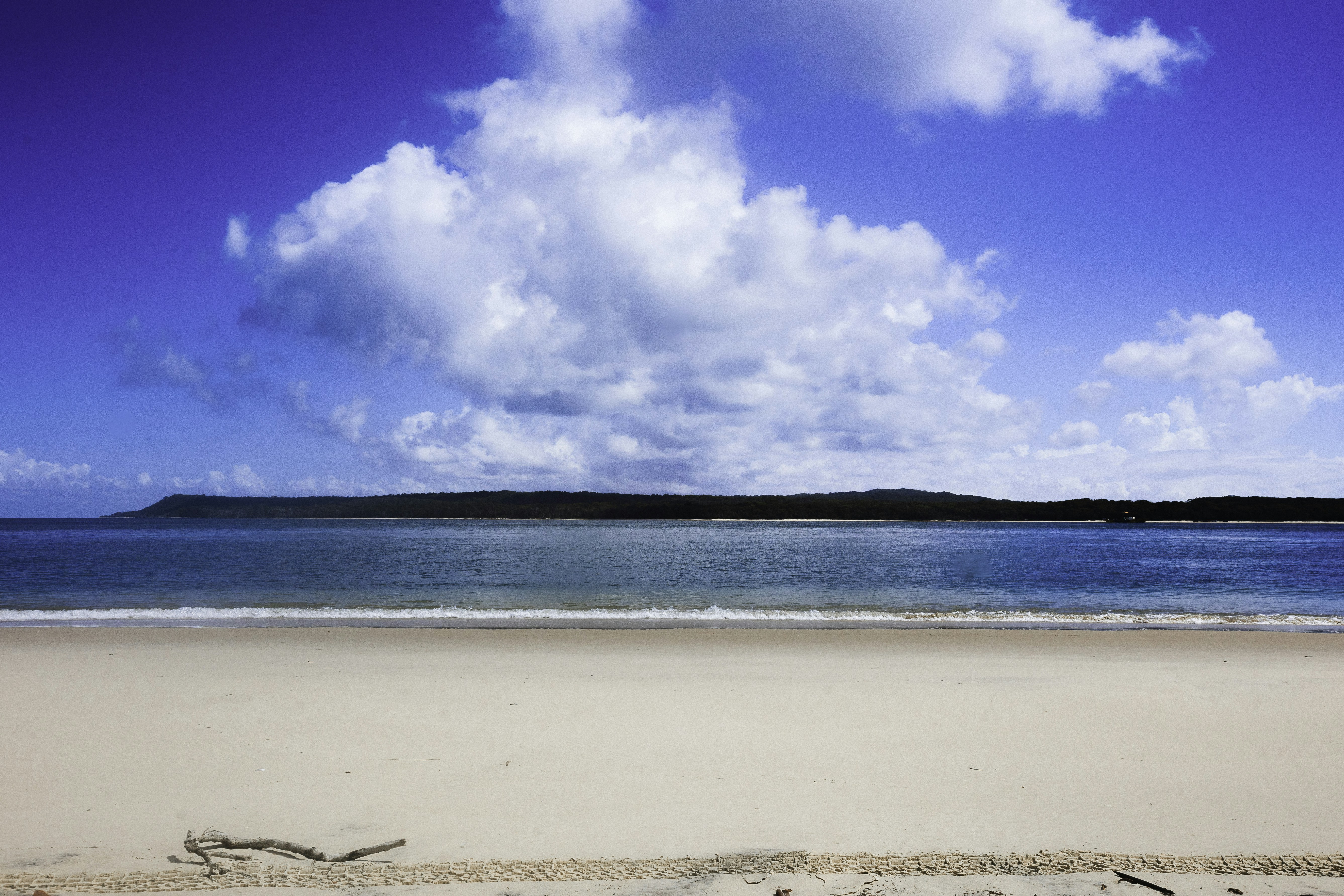 Photo by behindthetmuna