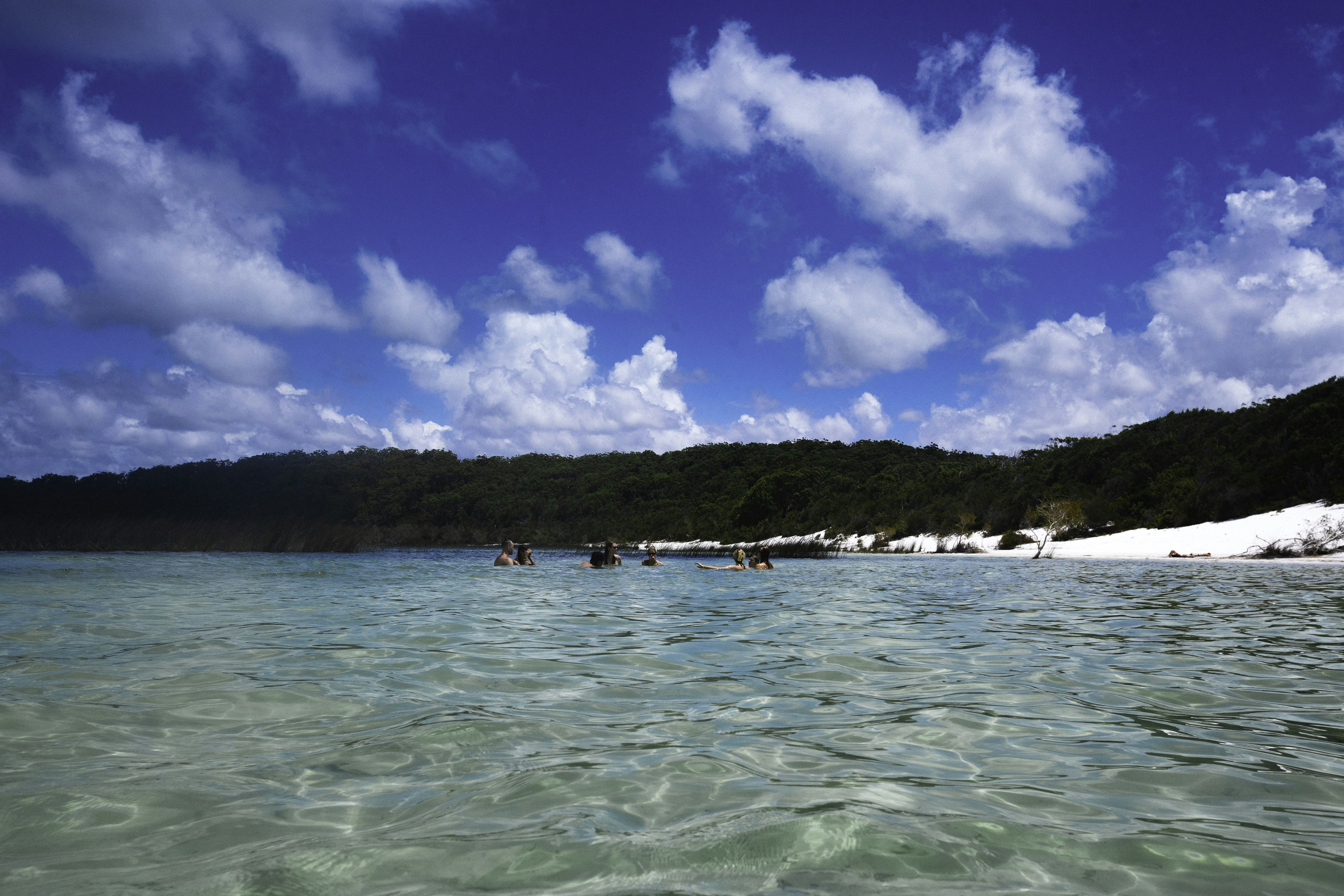 Photo by behindthetmuna