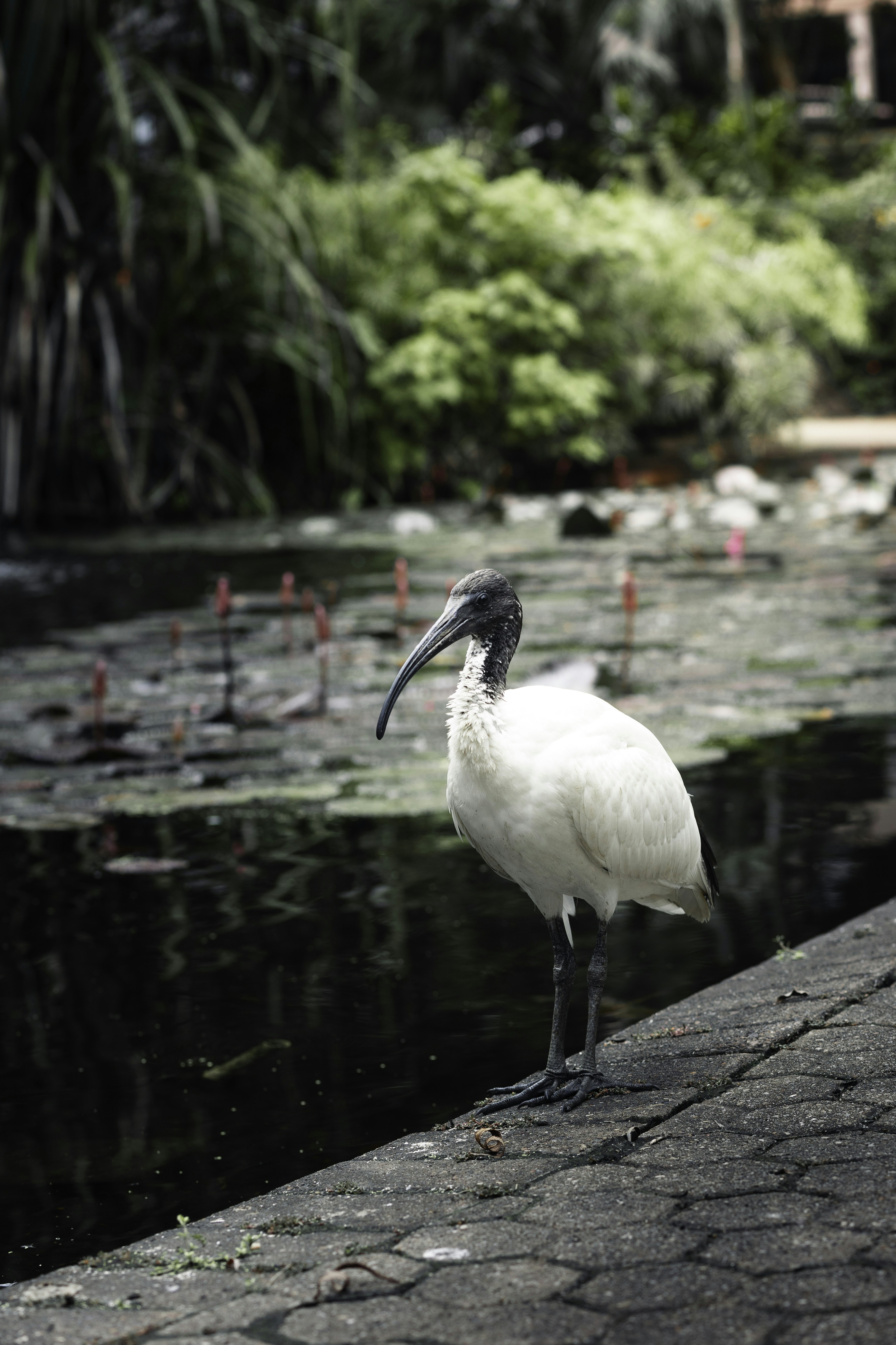 Photo by behindthetmuna