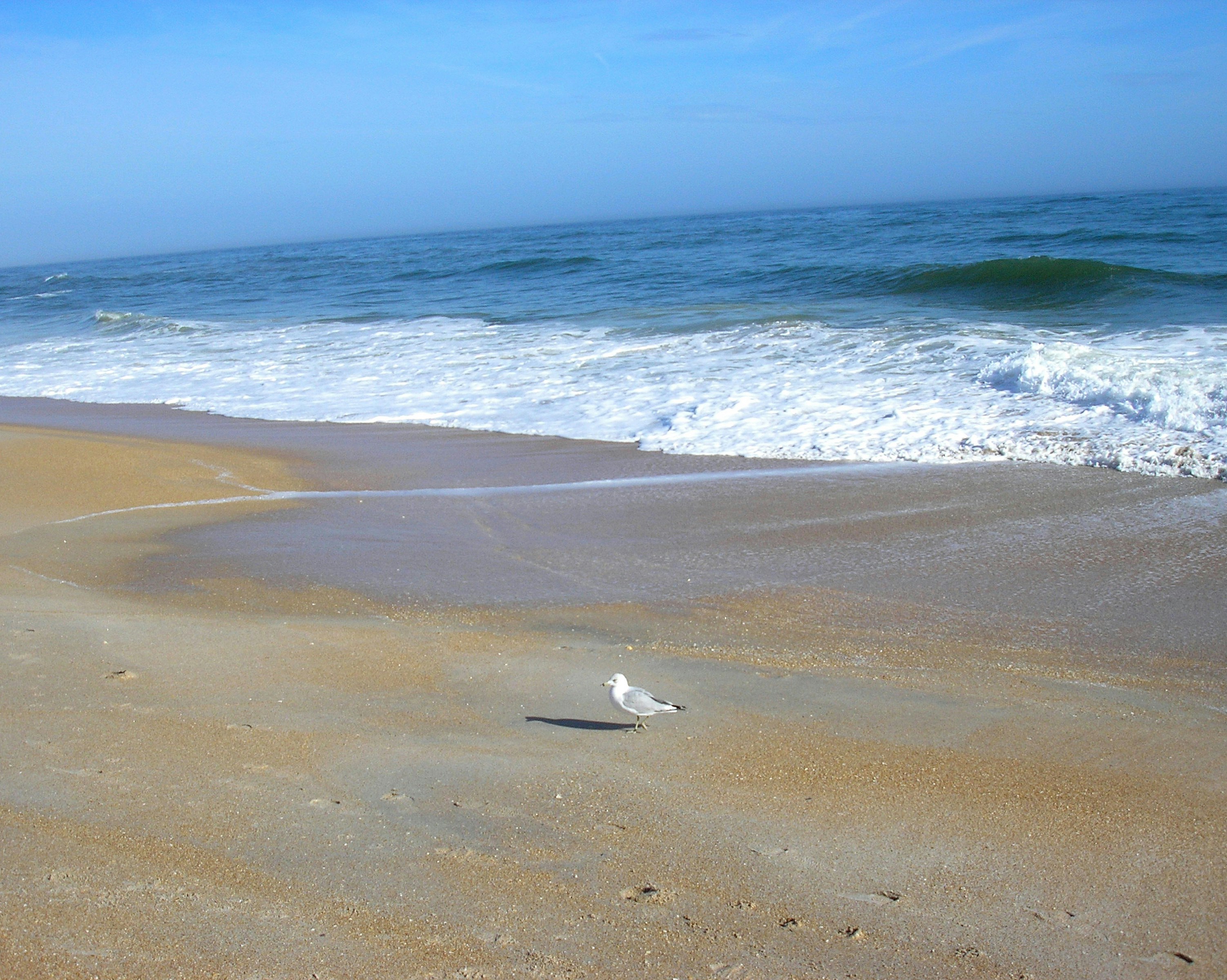 Photo by newmediaart