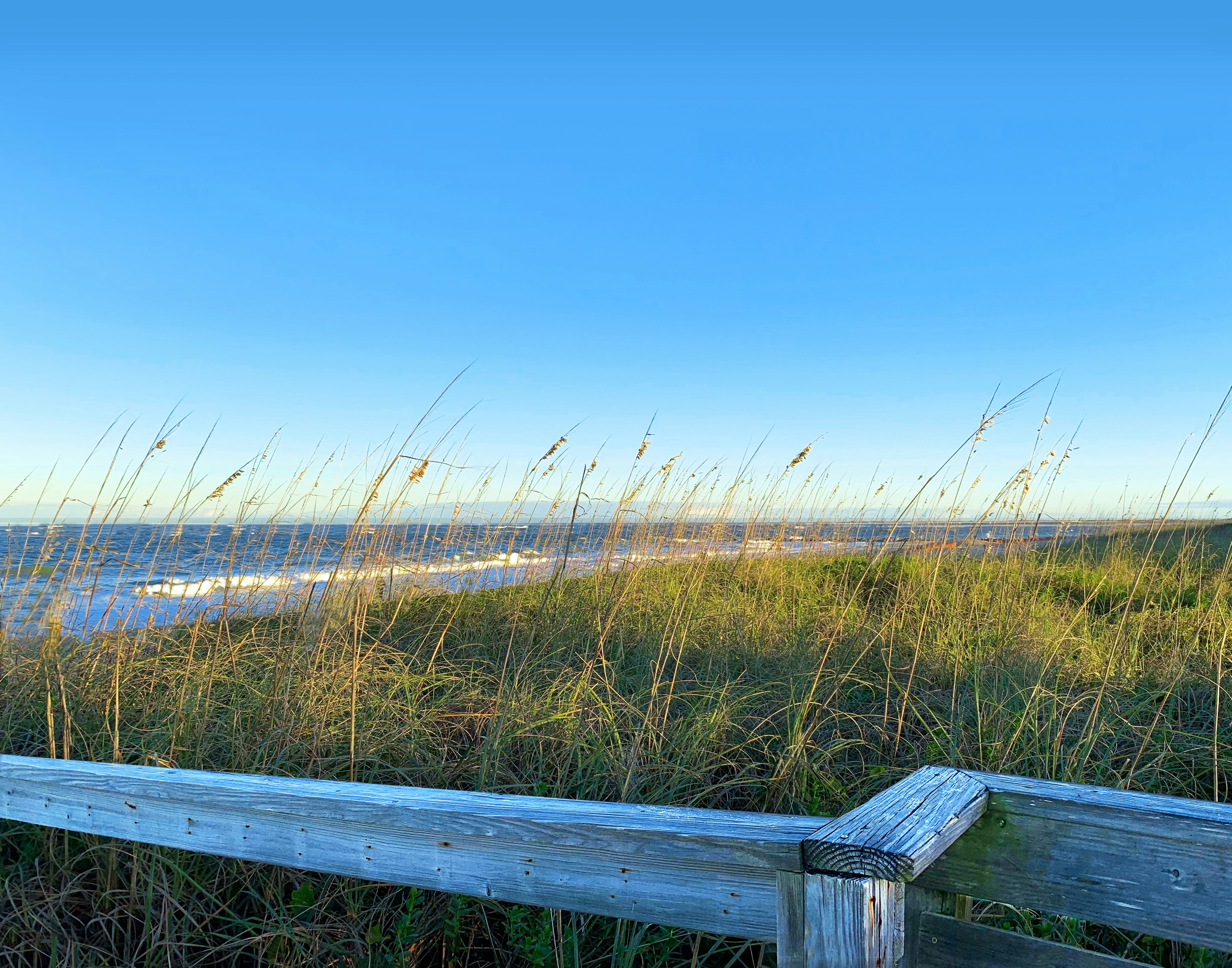 Photo by newmediaart