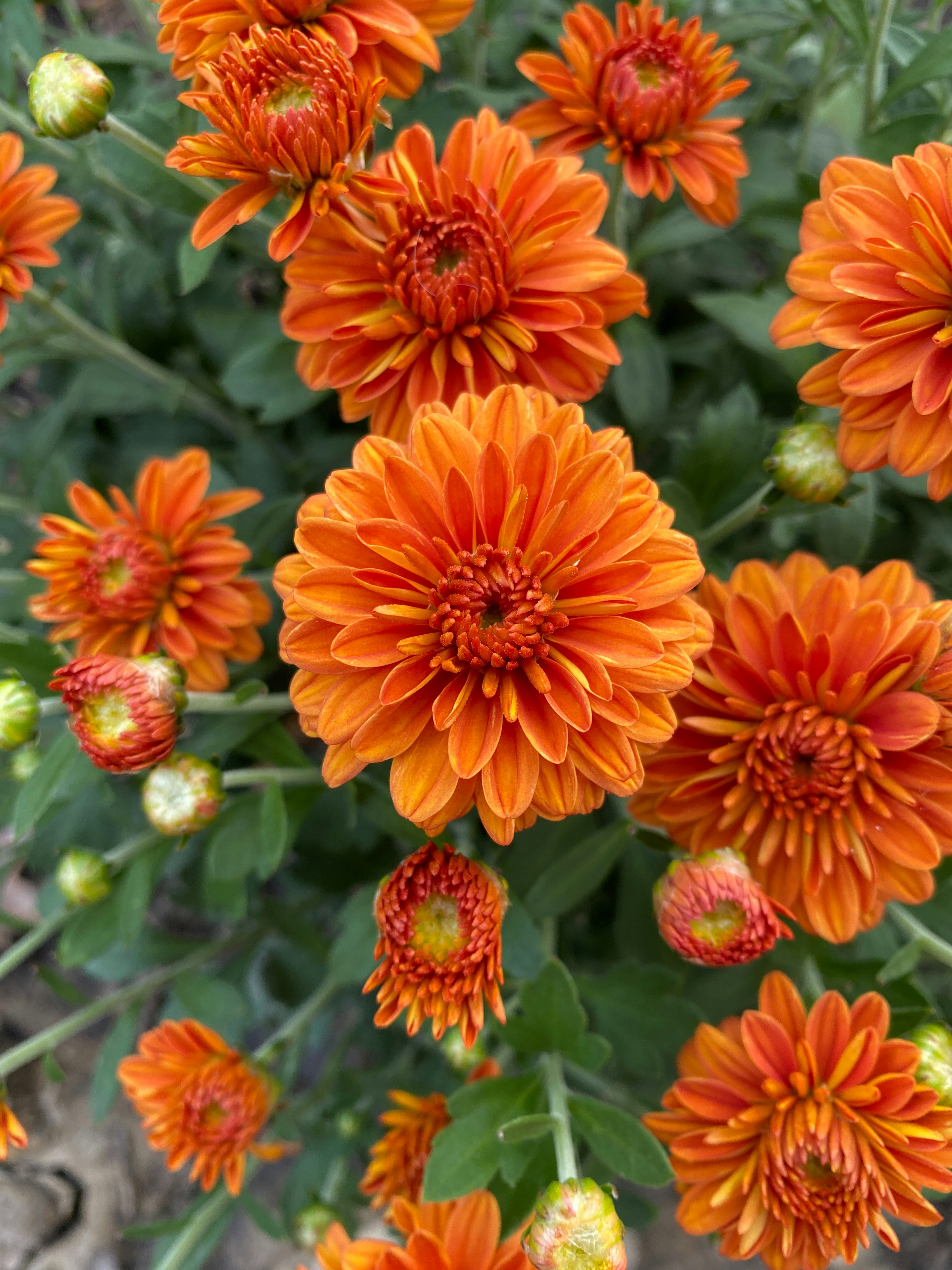 Photo by americanjael