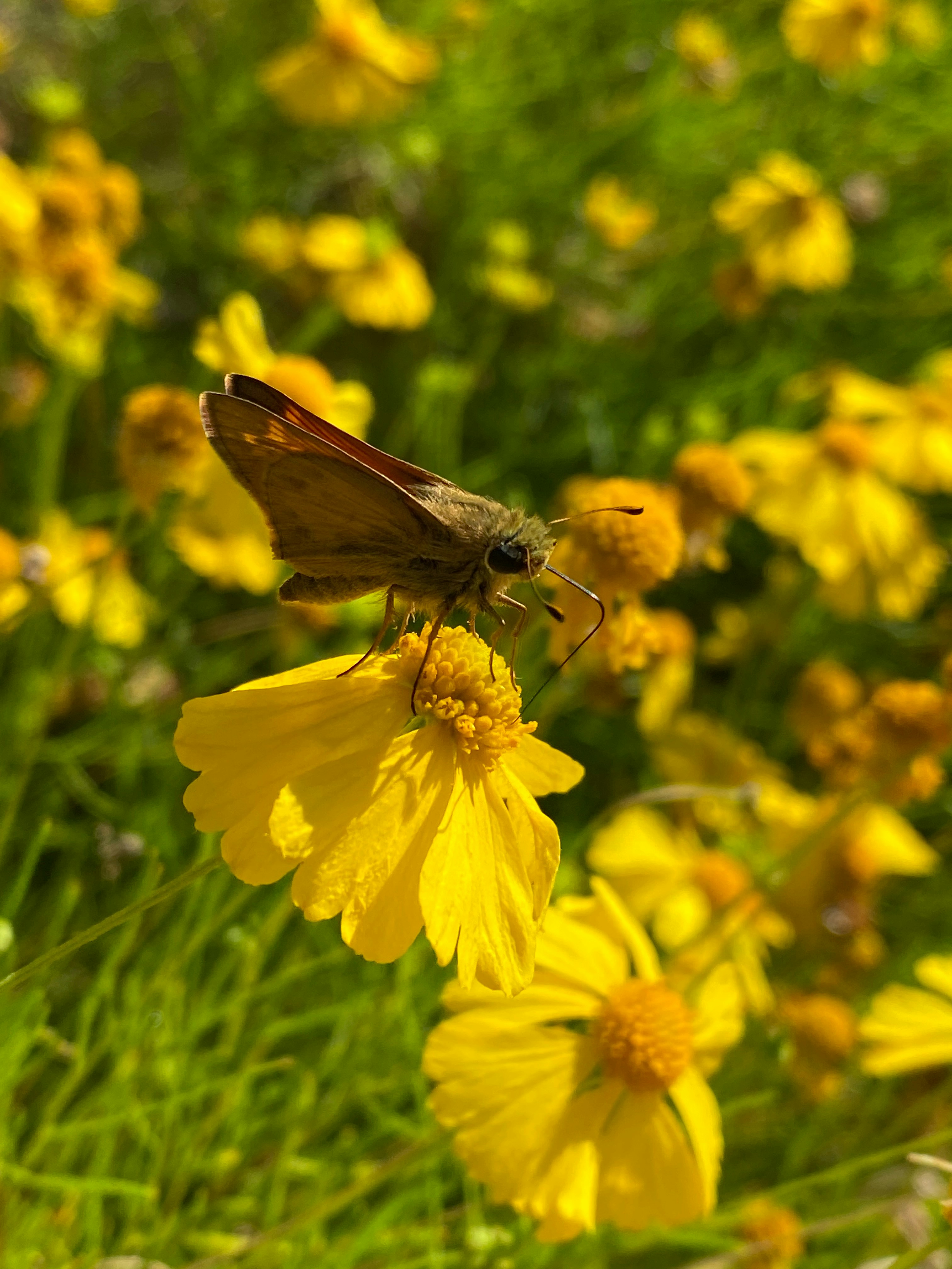 Photo by americanjael