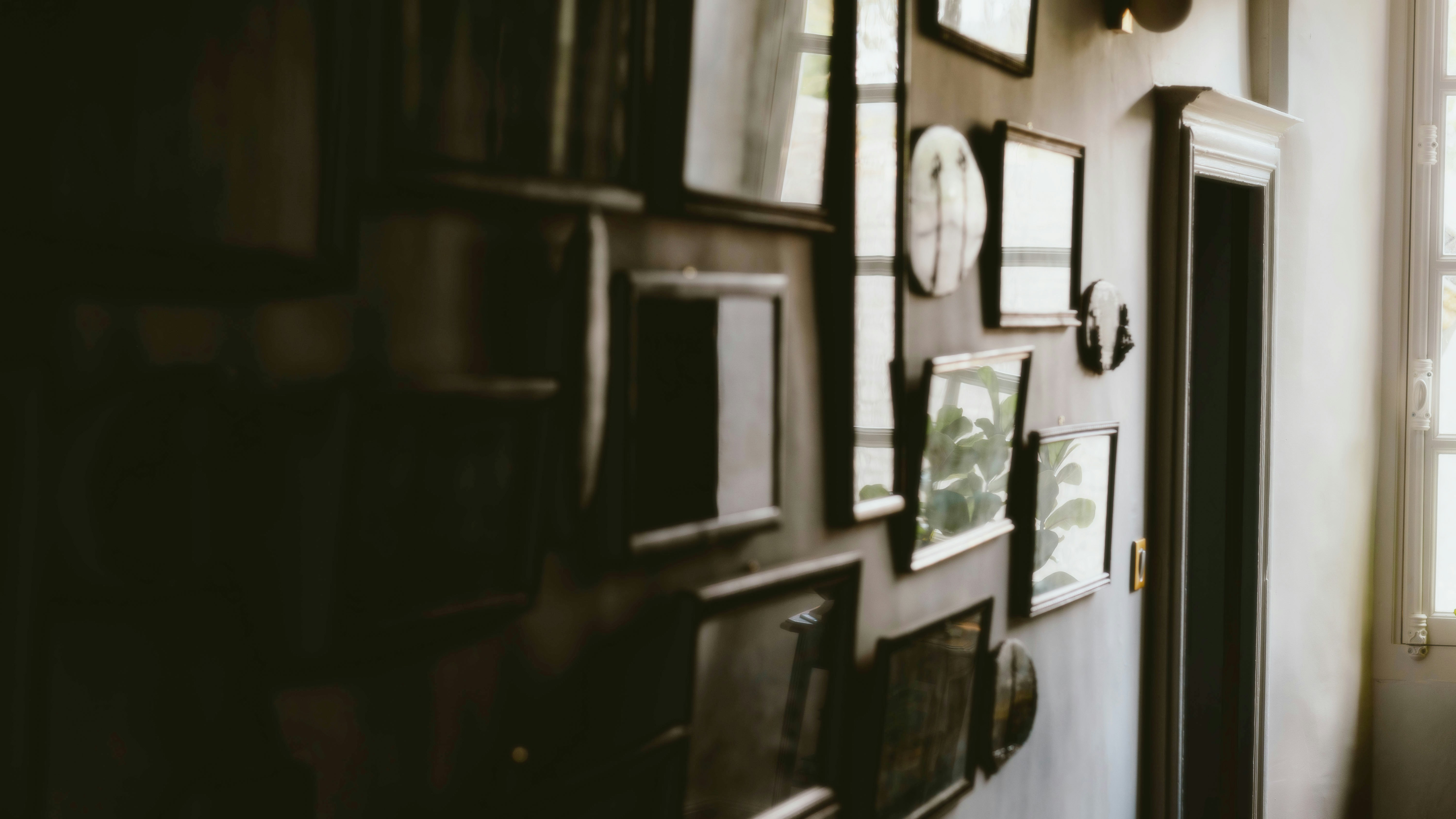 Photo by alingavriliuc