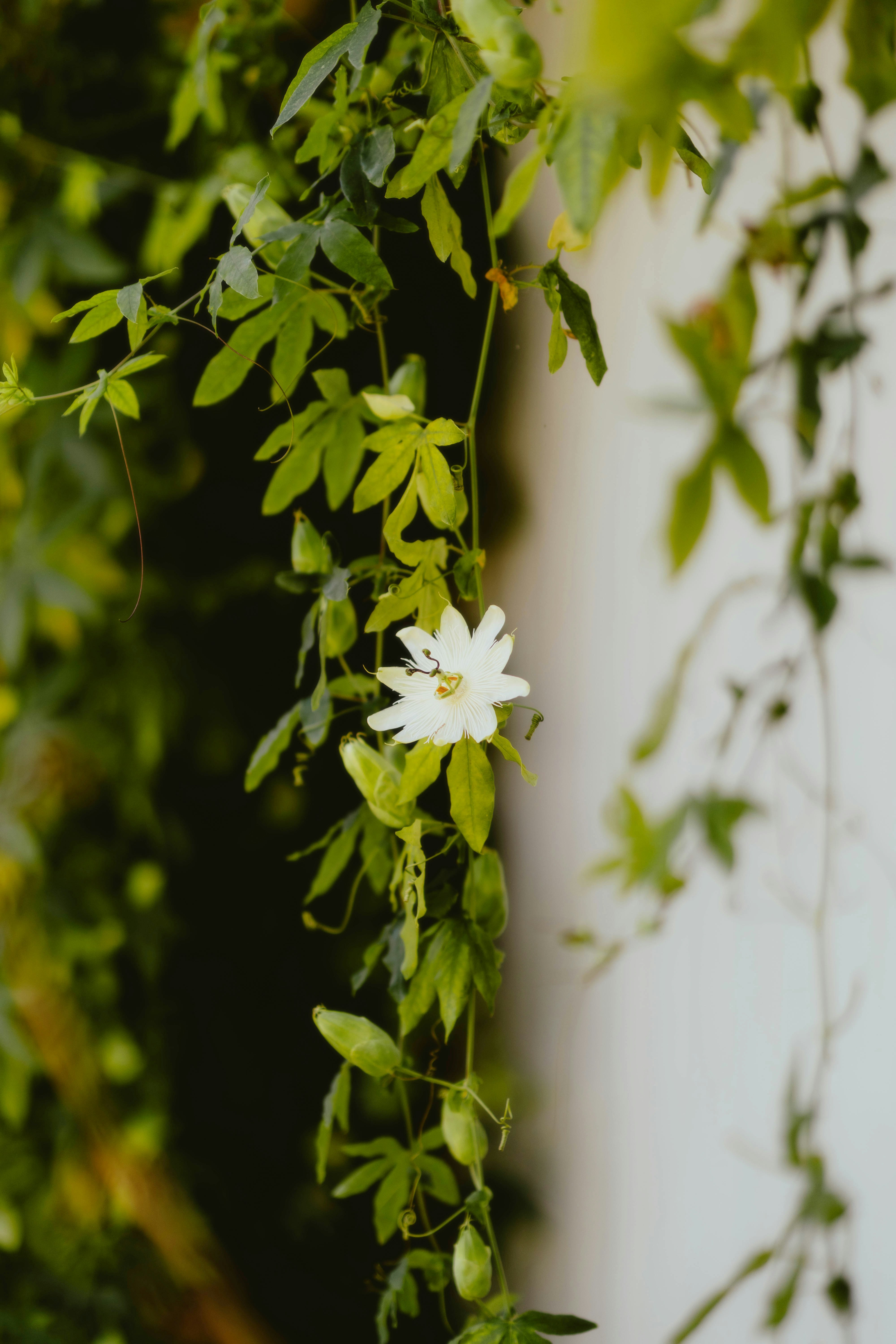 Photo by alingavriliuc