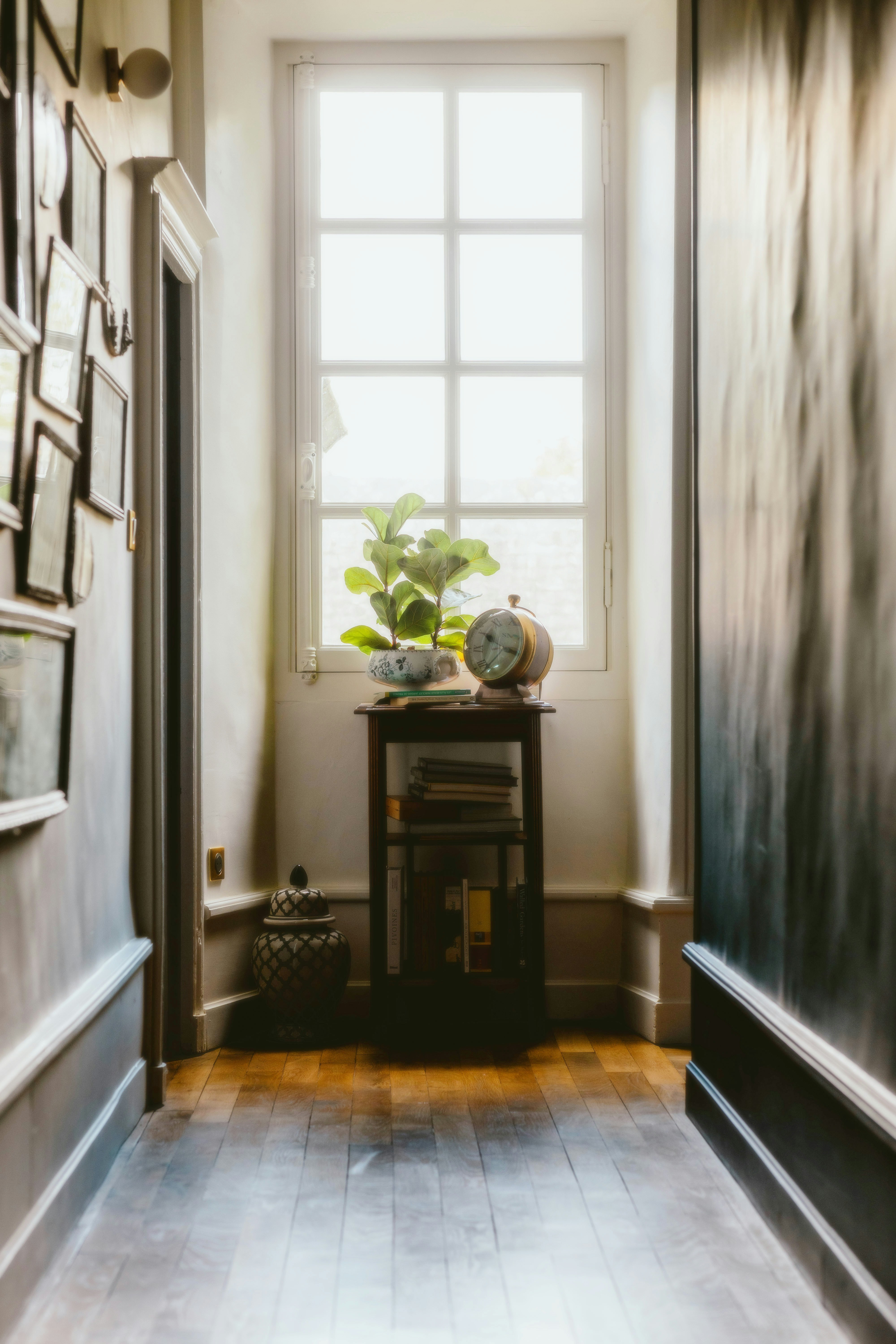 Photo by alingavriliuc