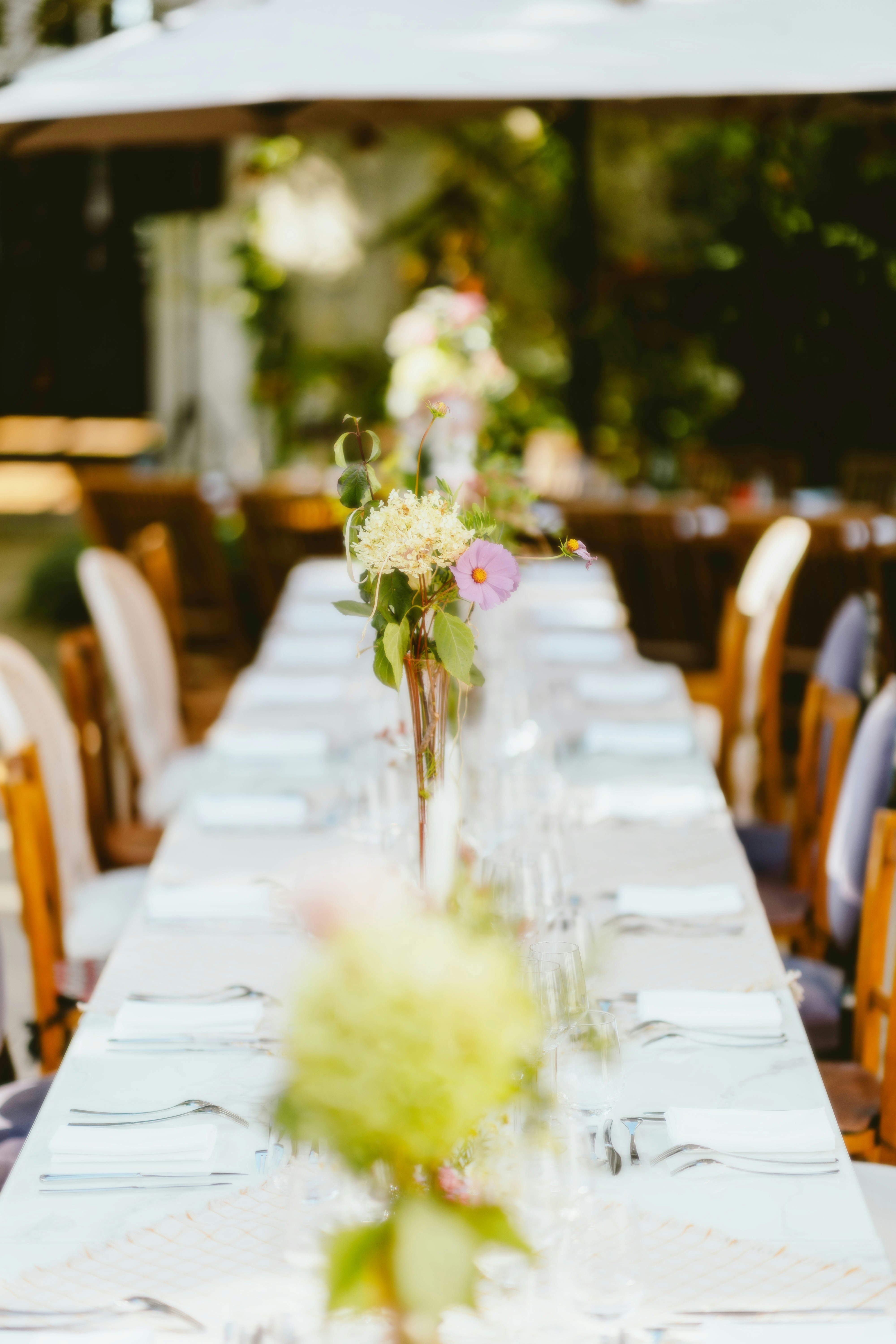 Photo by alingavriliuc