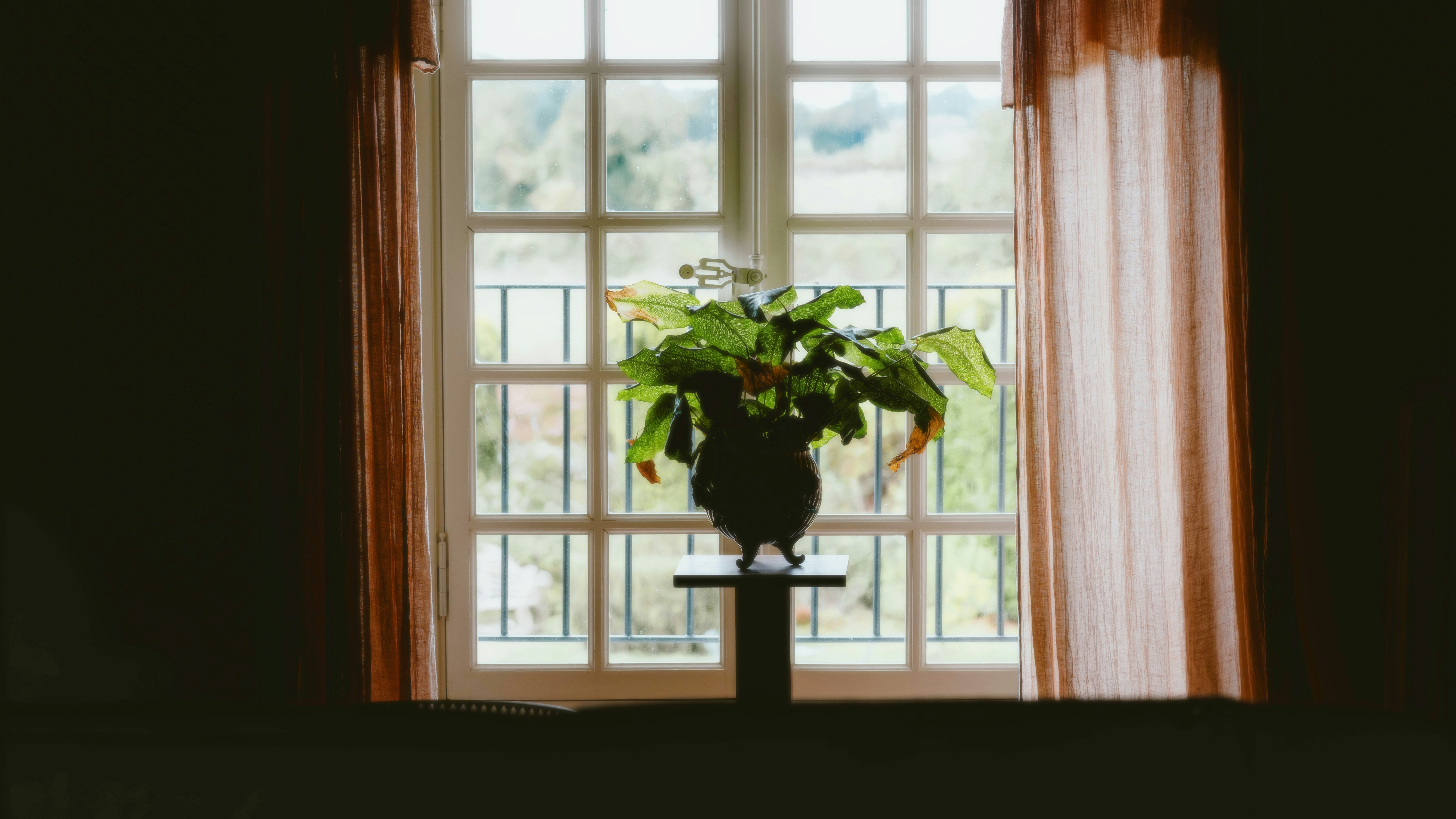 Photo by alingavriliuc