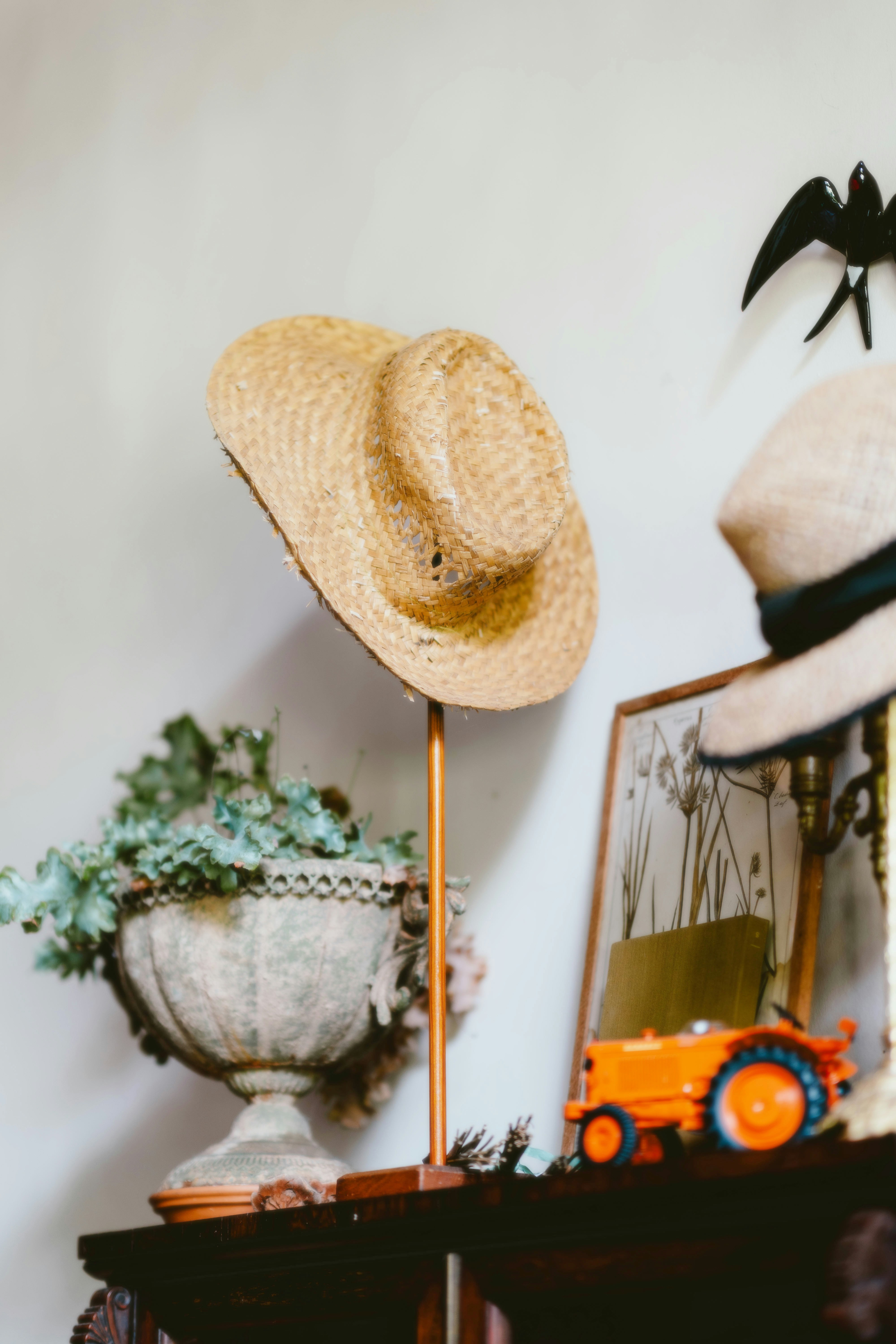 Photo by alingavriliuc