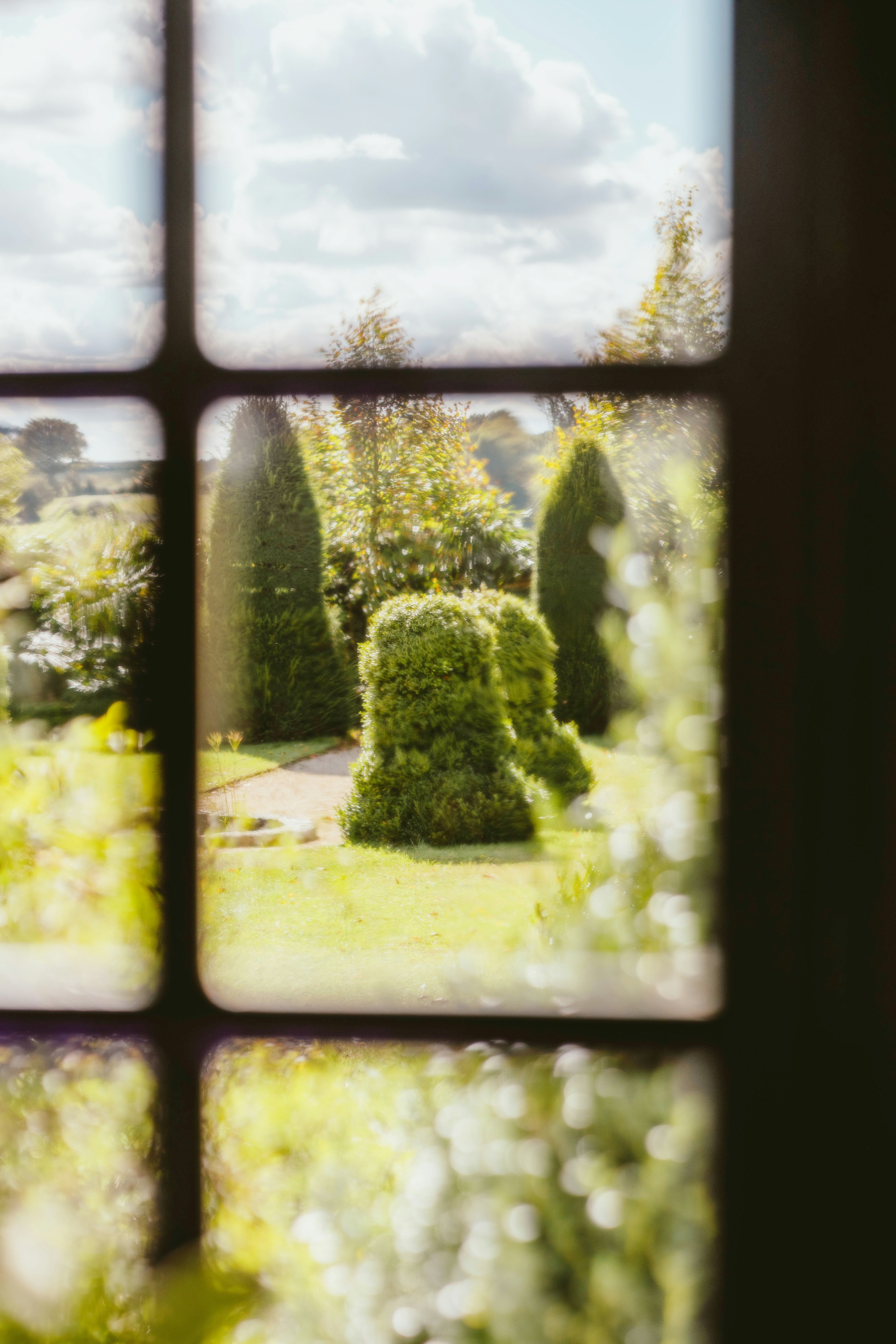 Photo by alingavriliuc