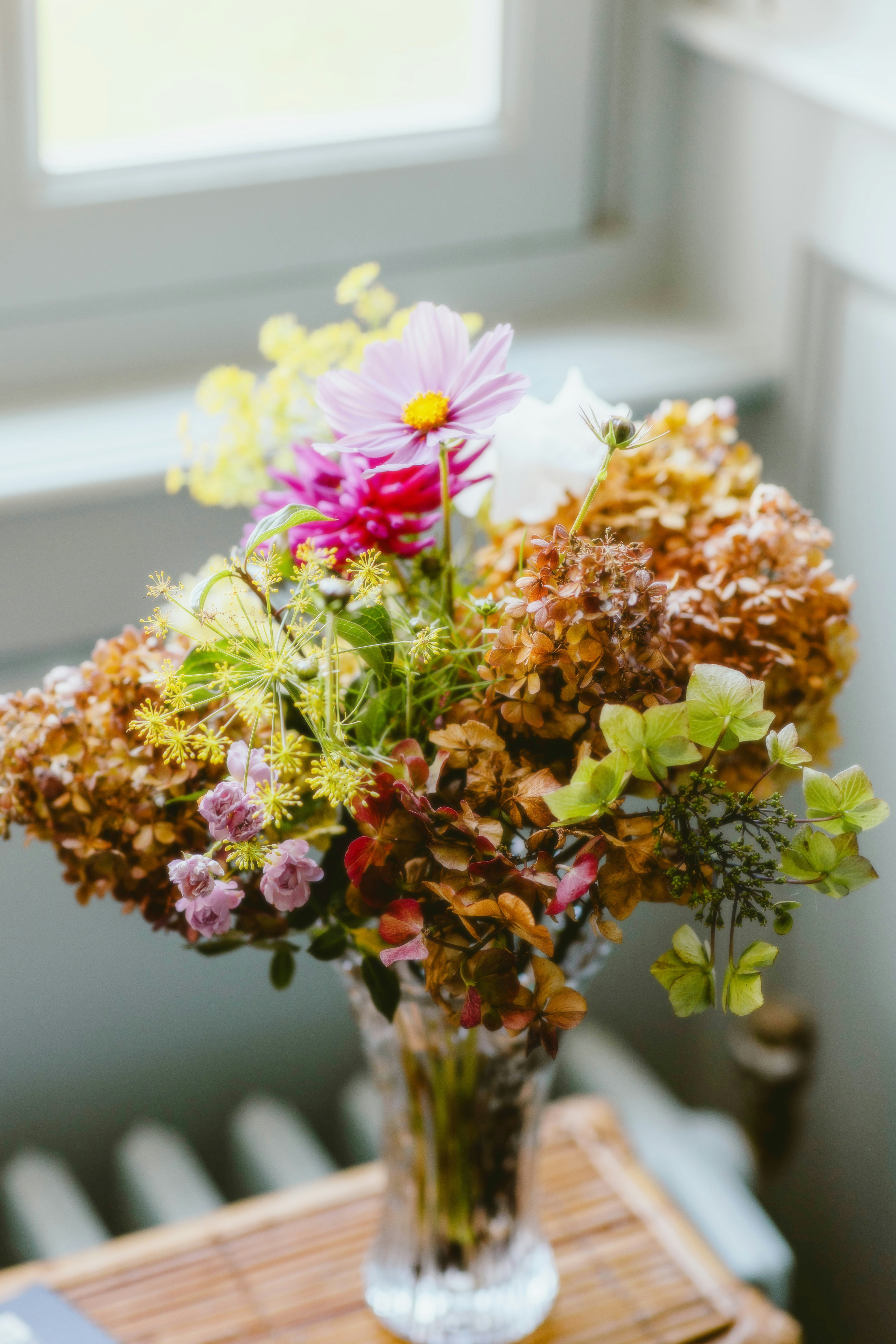 Photo by alingavriliuc