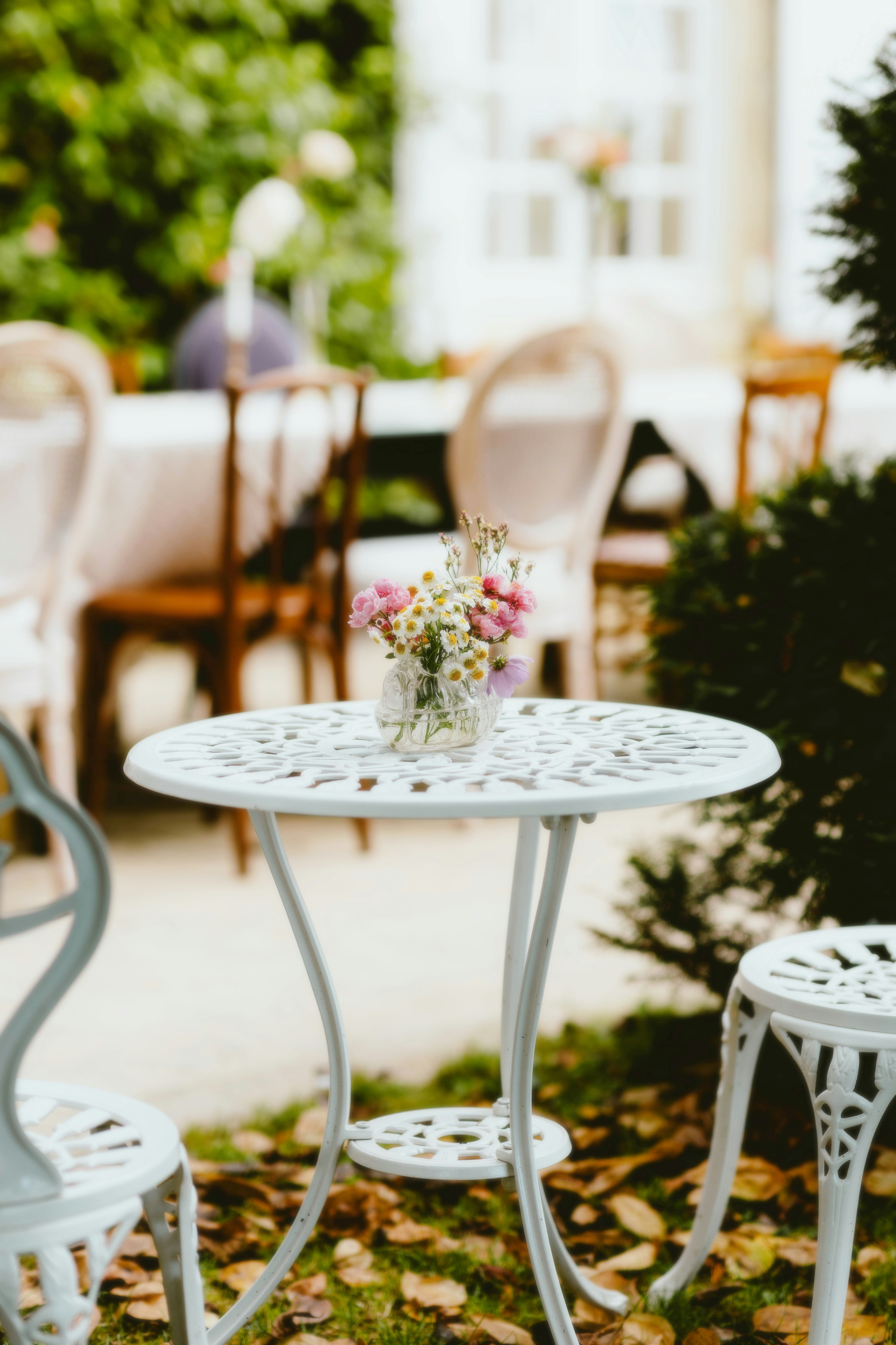 Photo by alingavriliuc