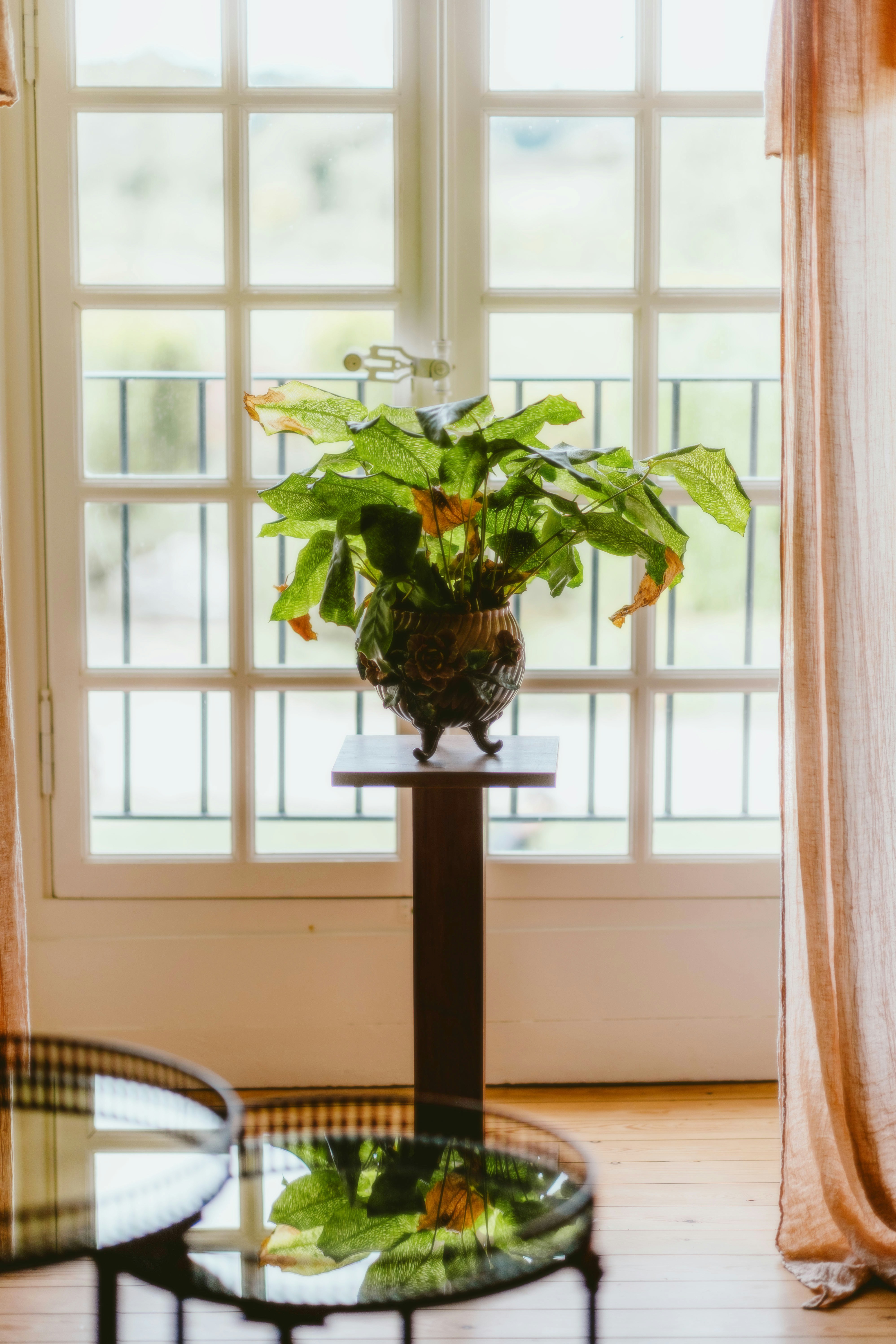 Photo by alingavriliuc