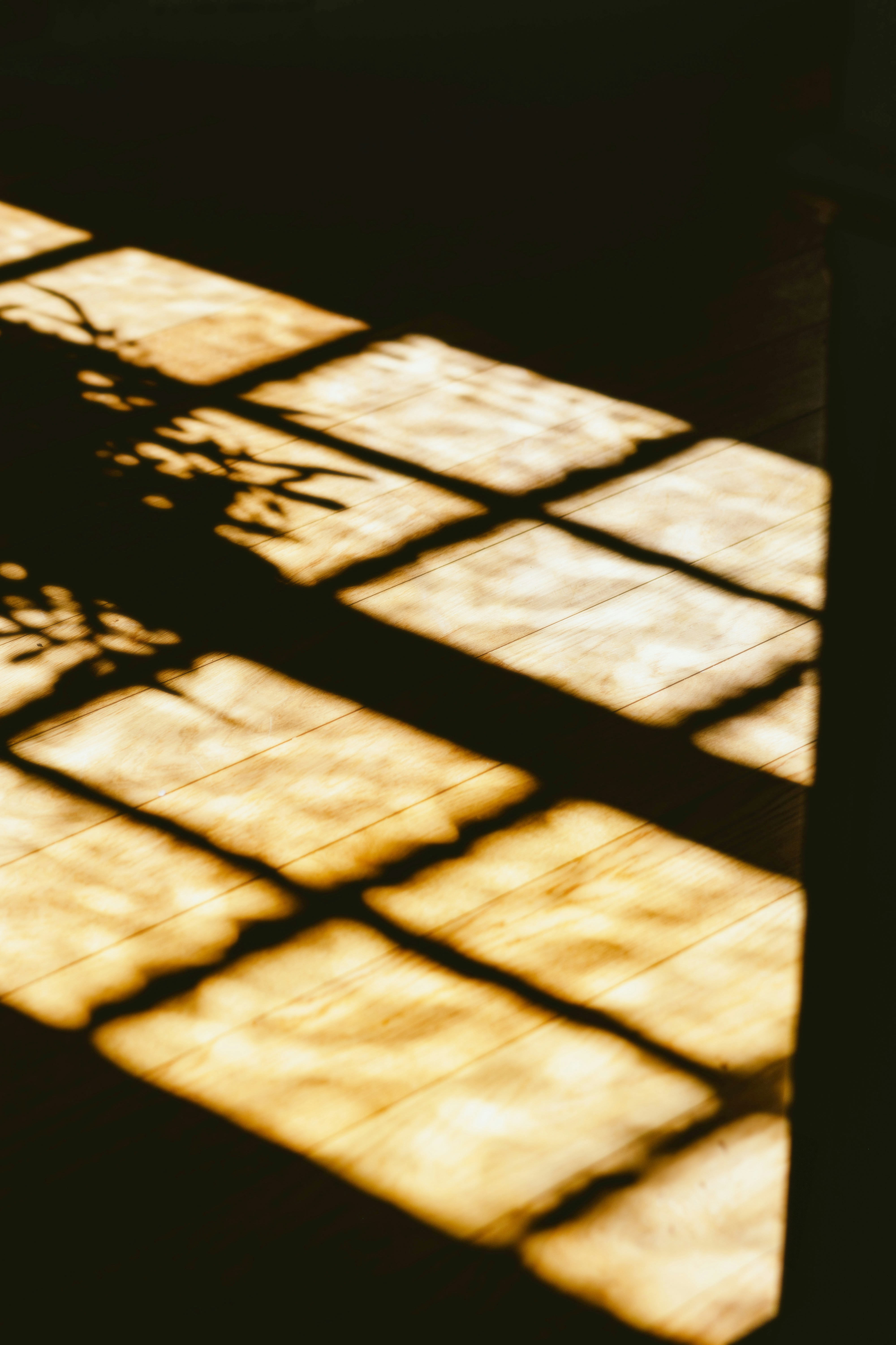 Photo by alingavriliuc