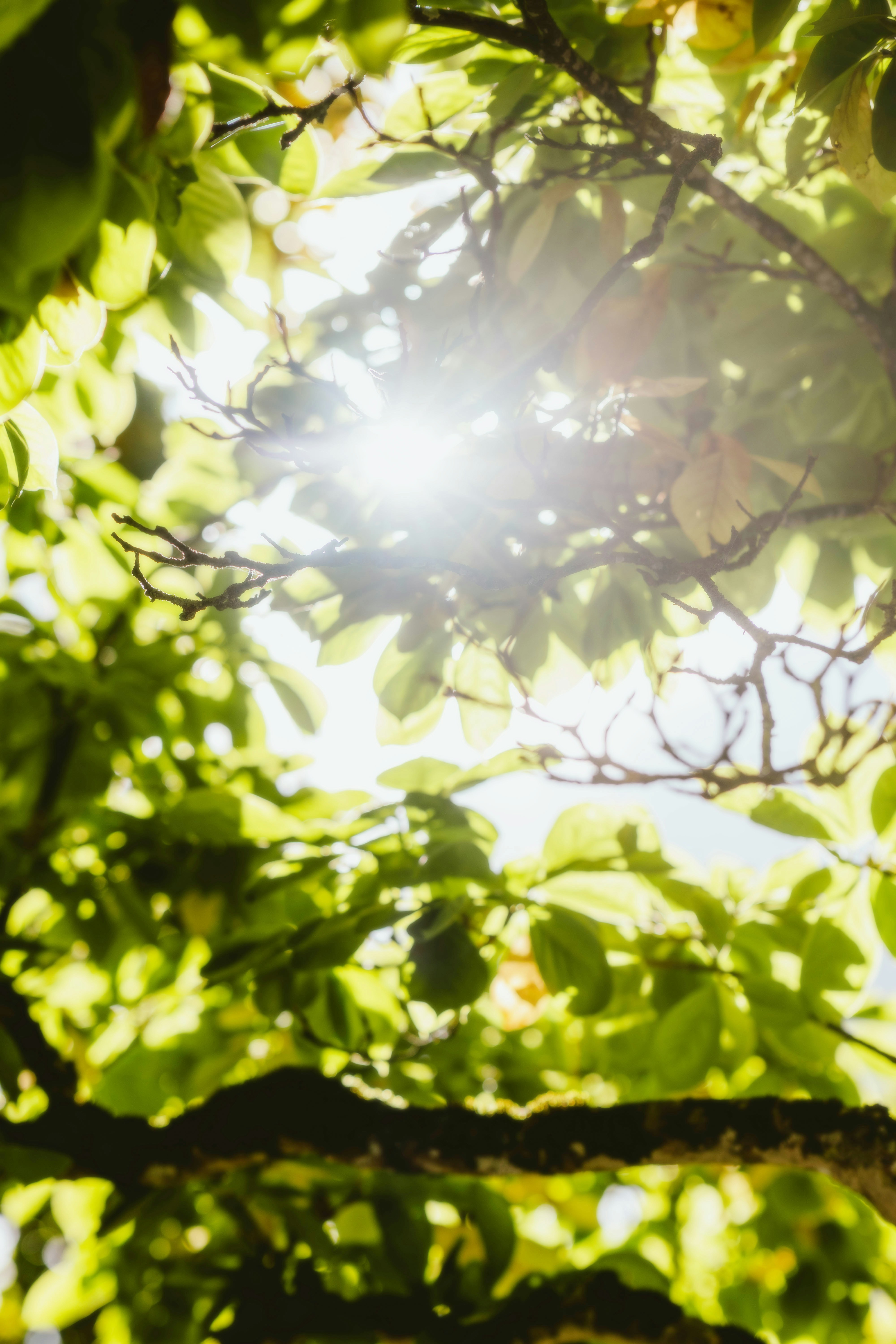 Photo by alingavriliuc