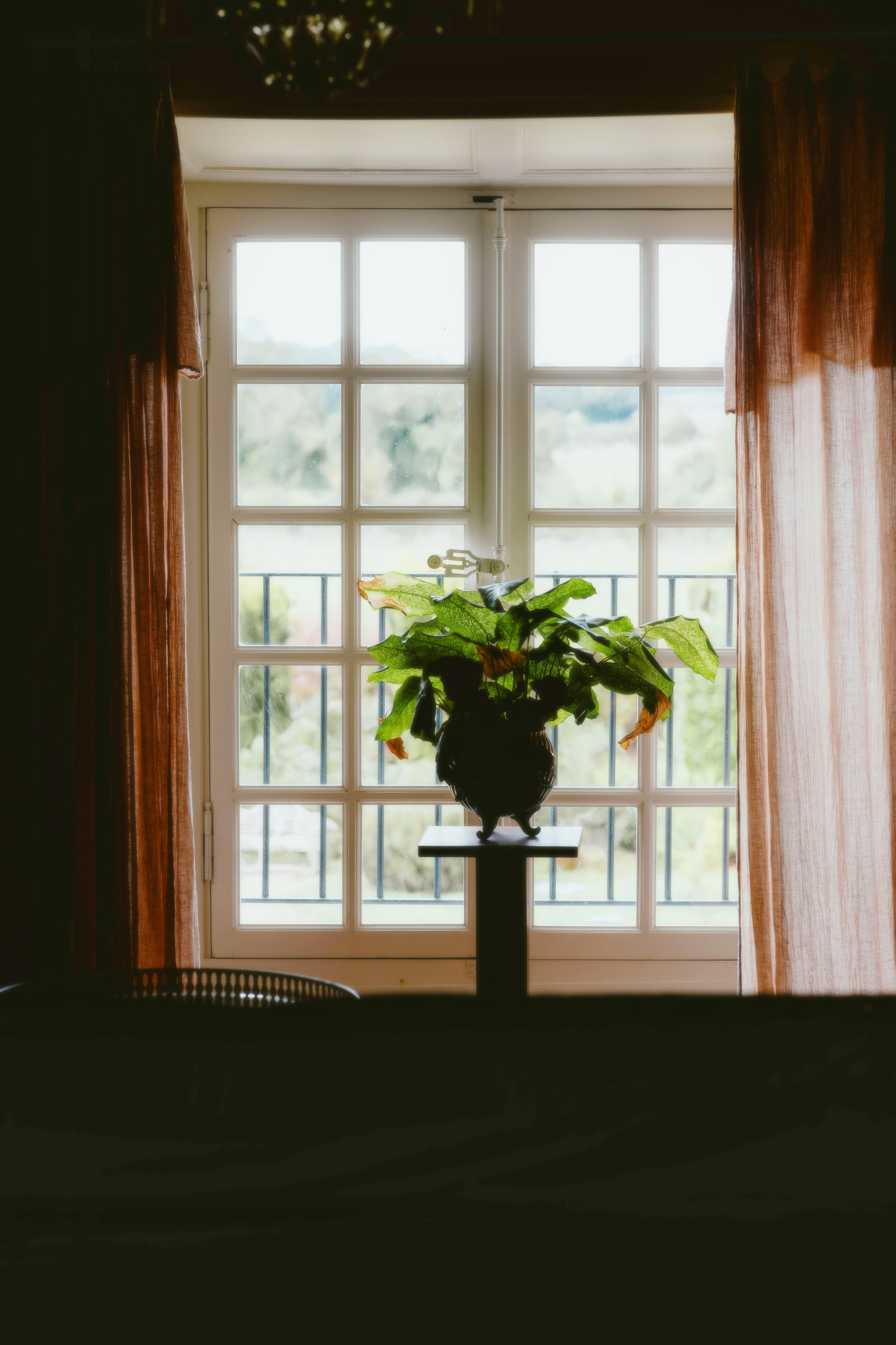 Photo by alingavriliuc